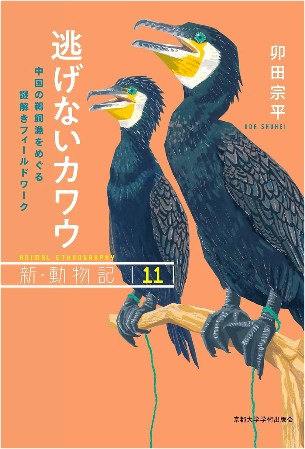 Cormorants That Don't Flee: Unraveling Chinese Cormorant Fishing Mysteries