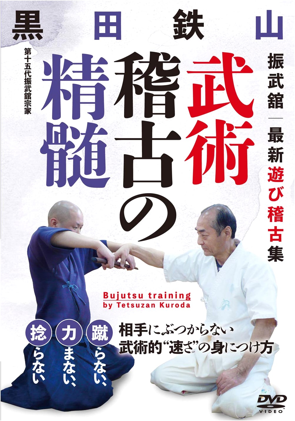 DVD: The Essence of Martial Arts Training