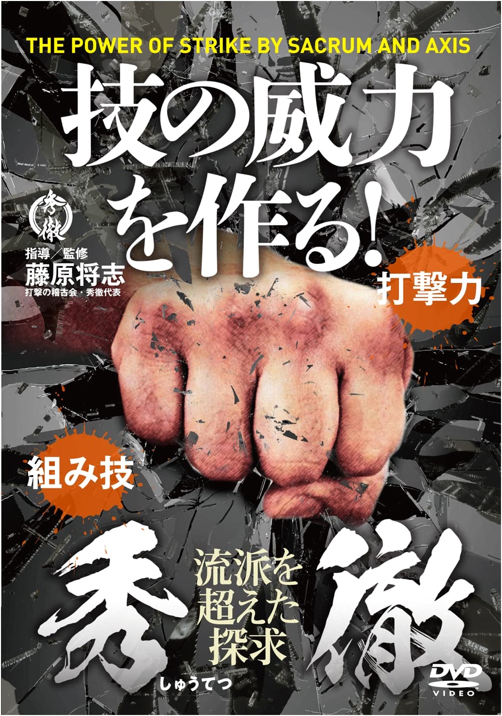 Shutetsu: Unleashing the Power of Technique (DVD)