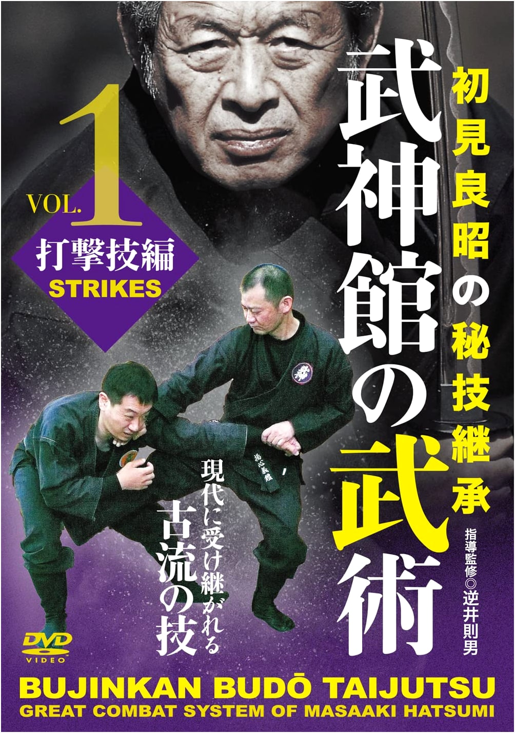 DVD Bujinkan Martial Arts: Volume 1 - Striking Techniques