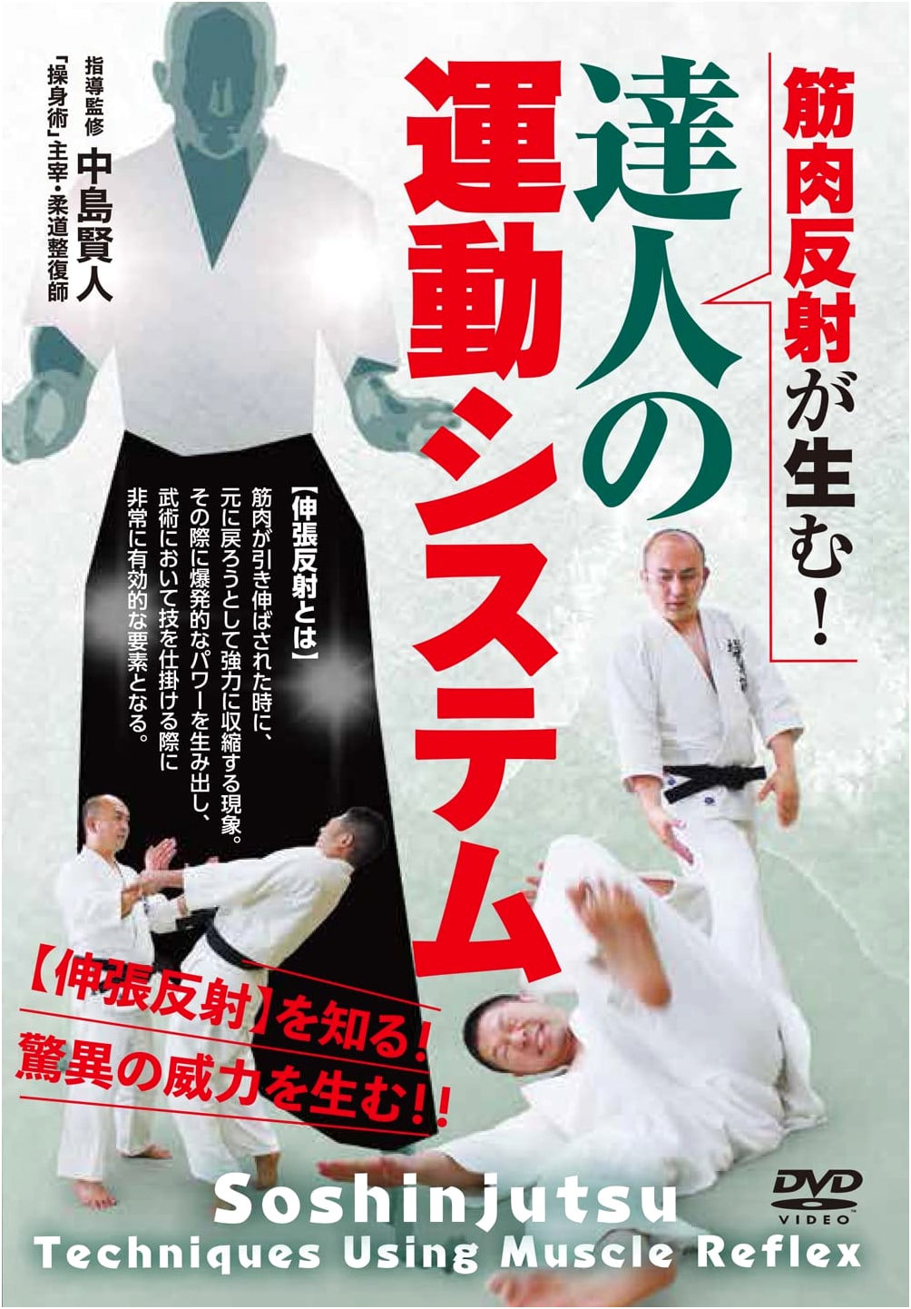 DVD: The Master's Movement System