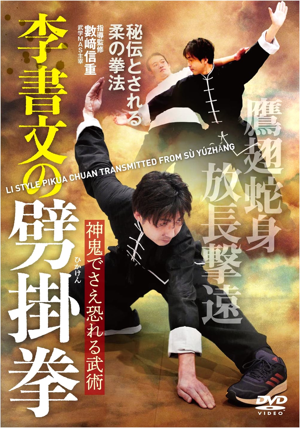 Li Shuwen's Piguaquan: Explosive Martial Arts Techniques (DVD)