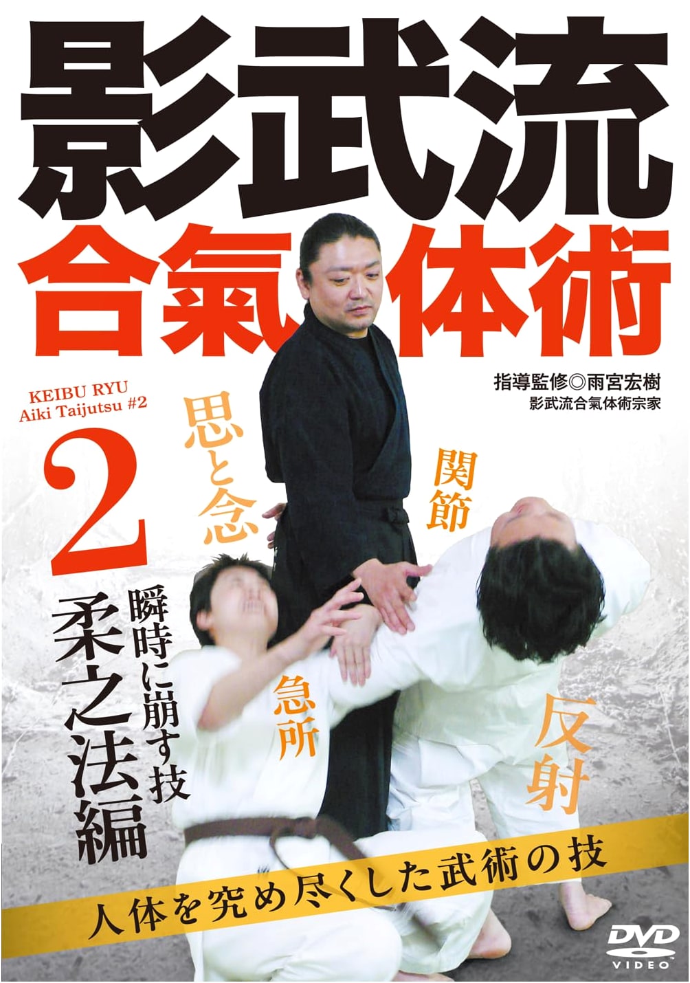 Kageryu Aikijutsu DVD Vol. 2: Techniques of Gentle Law – Mastering the Human Body