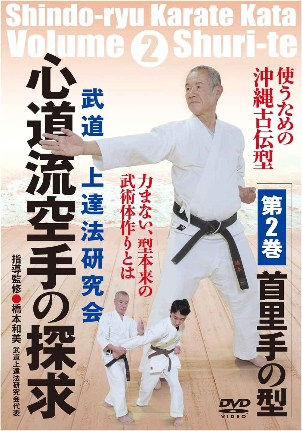 Shindo-ryu Karate: The Pursuit - Vol. 2: Shuri-te Techniques (DVD)