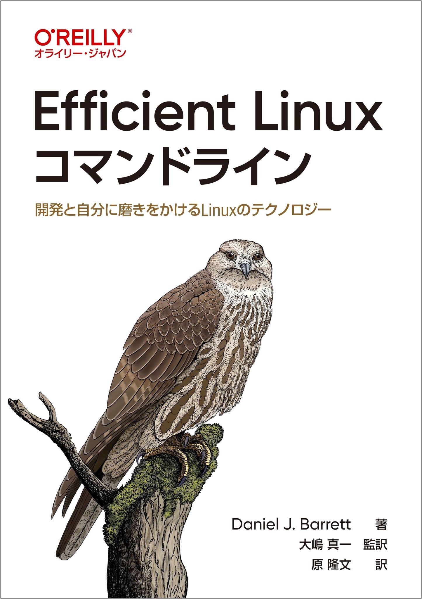 Efficient Linux Command Line: Linux Technology for Development and Self-Improvement