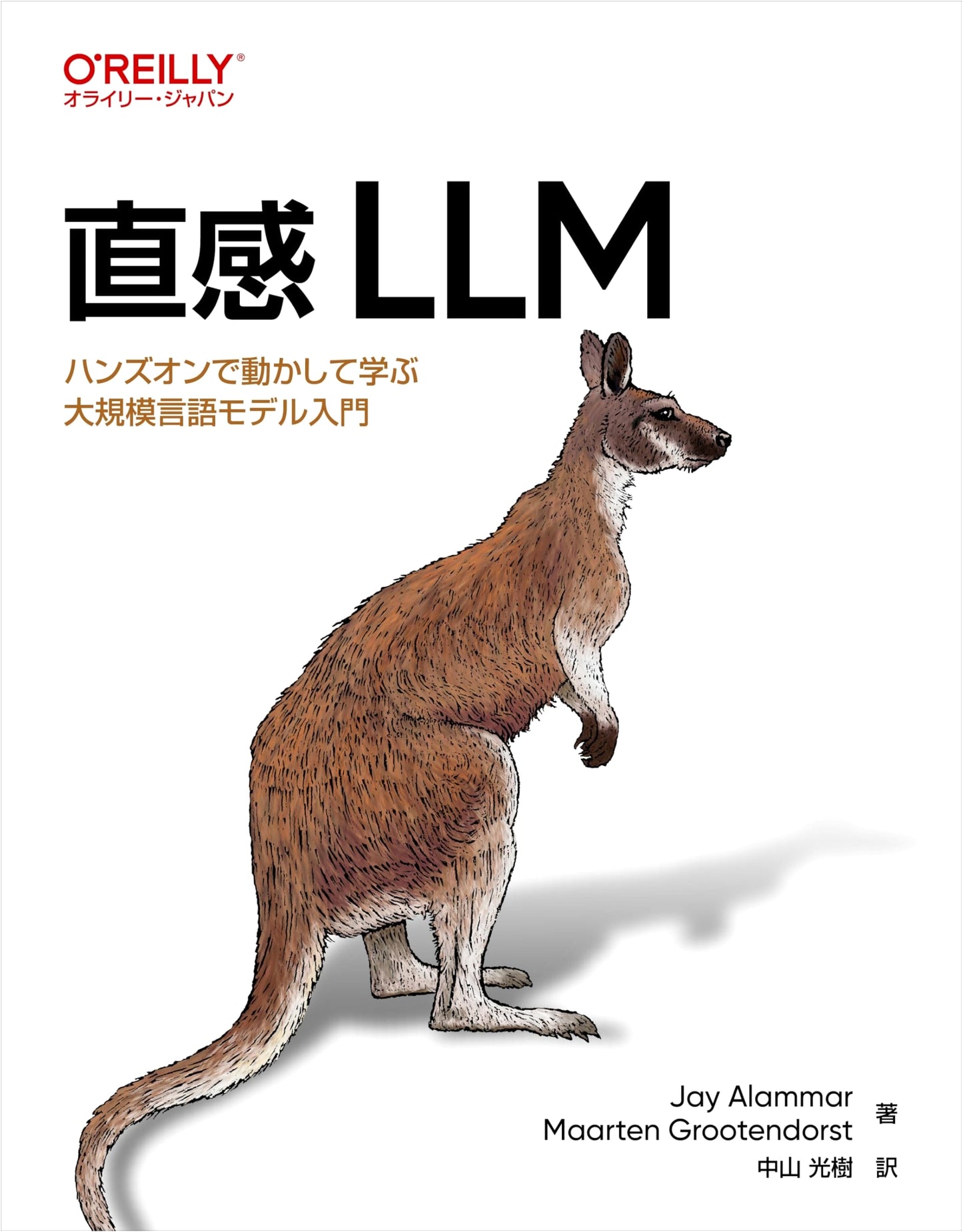 Intuitive LLM: A Hands-On Introduction to Large Language Models