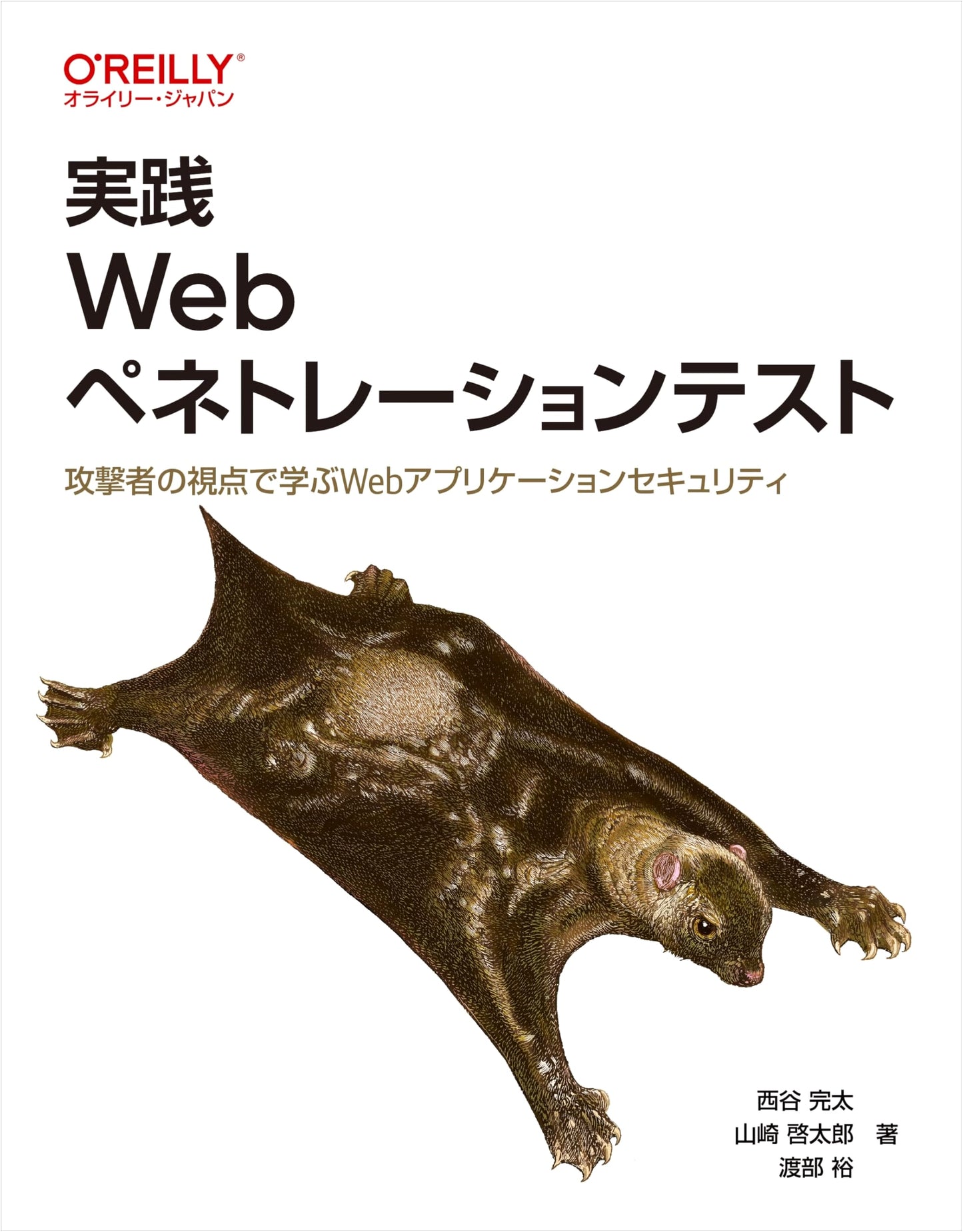 Practical Web Penetration Testing: Learning Web Application Security from an Attacker's Perspective