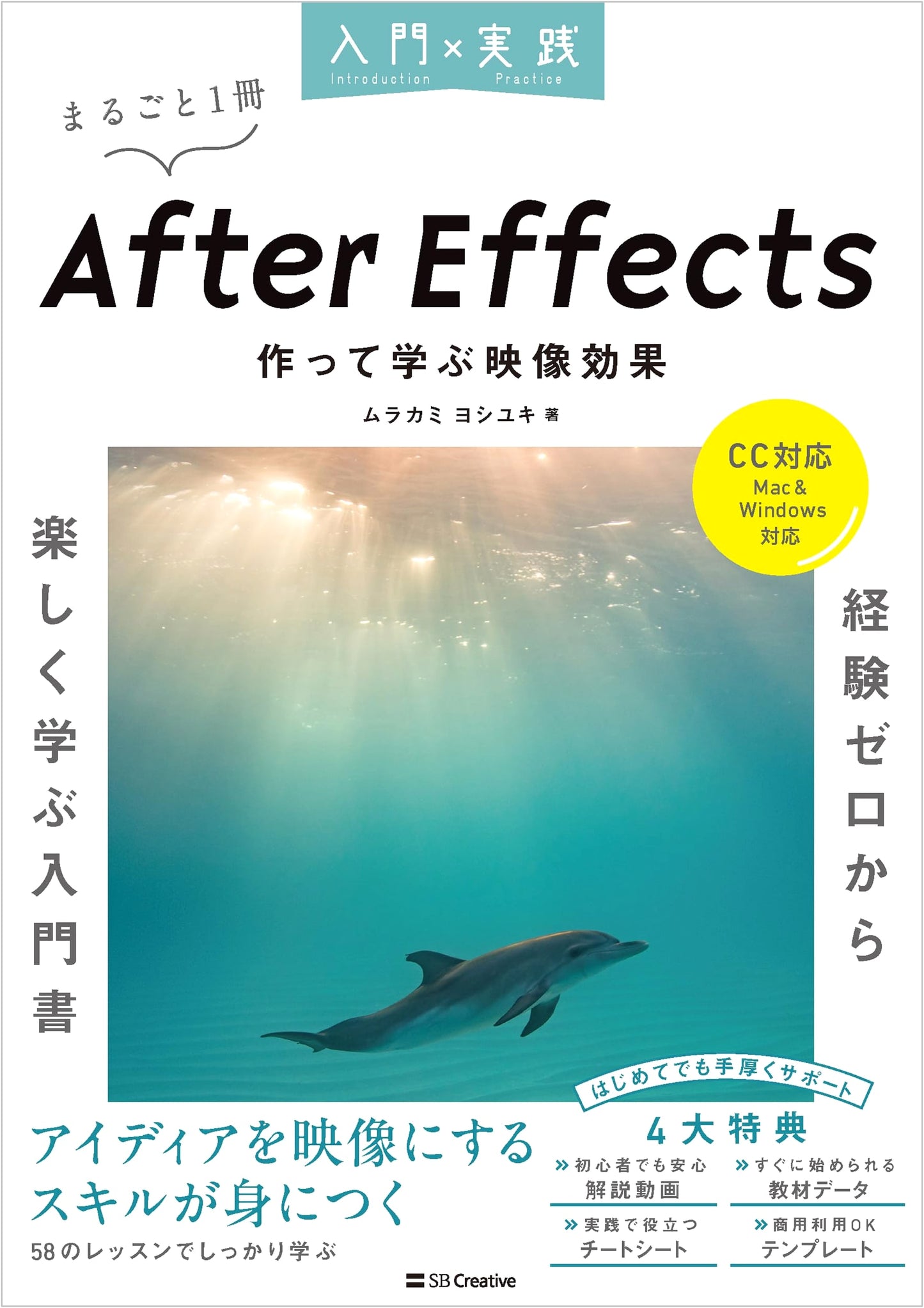 After Effects: Practical Introduction to Video Effects (CC, Mac & Windows)