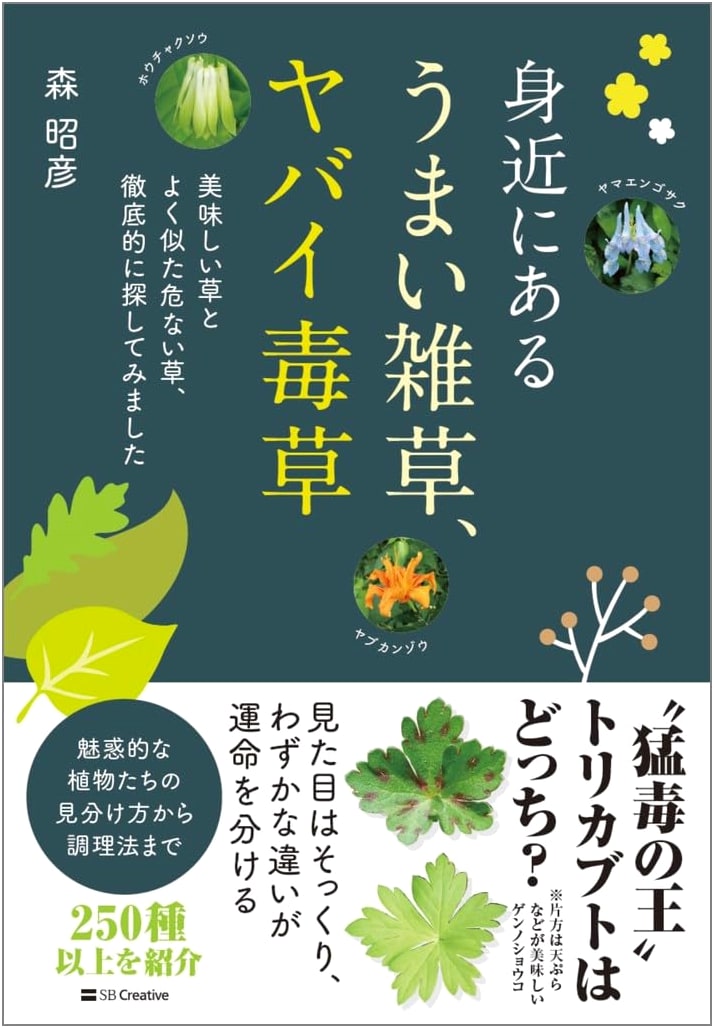 Edible & Toxic Wild Plants: A Close Look by Akihiko Mori