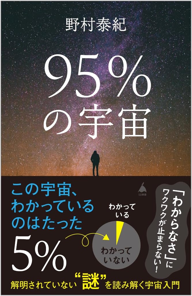Unlocking the 95% Unknown Universe: An Introductory Guide by Yasunori Nomura