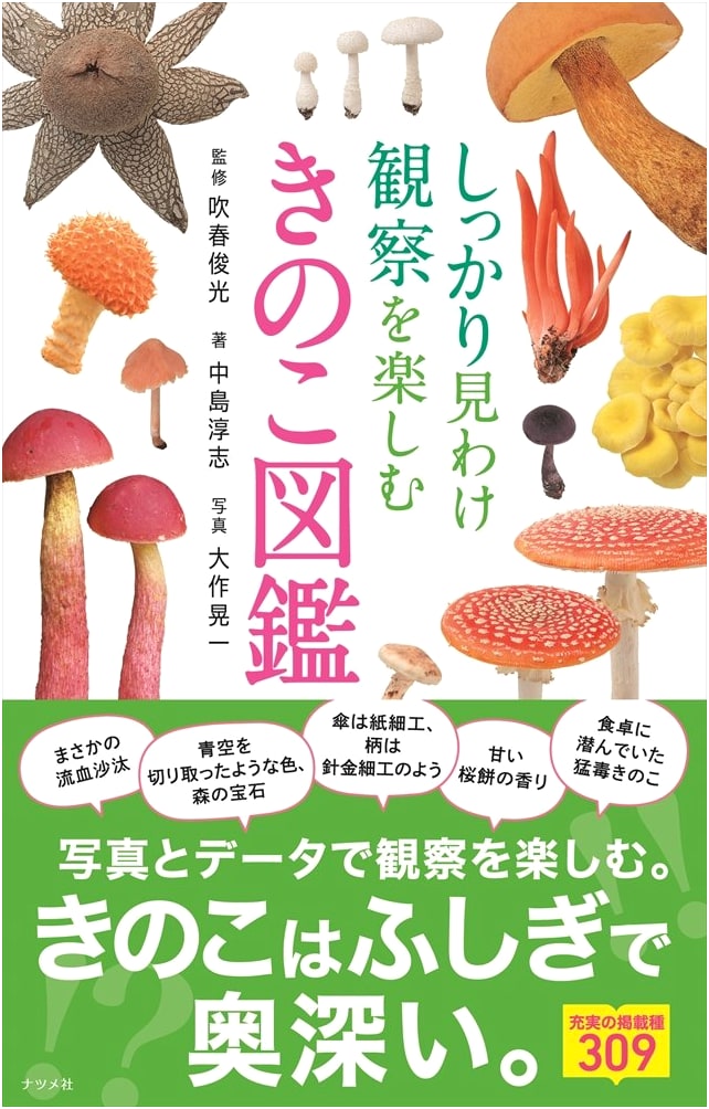 Japanese Mushroom Field Guide: Enjoy Observing & Clearly Identifying