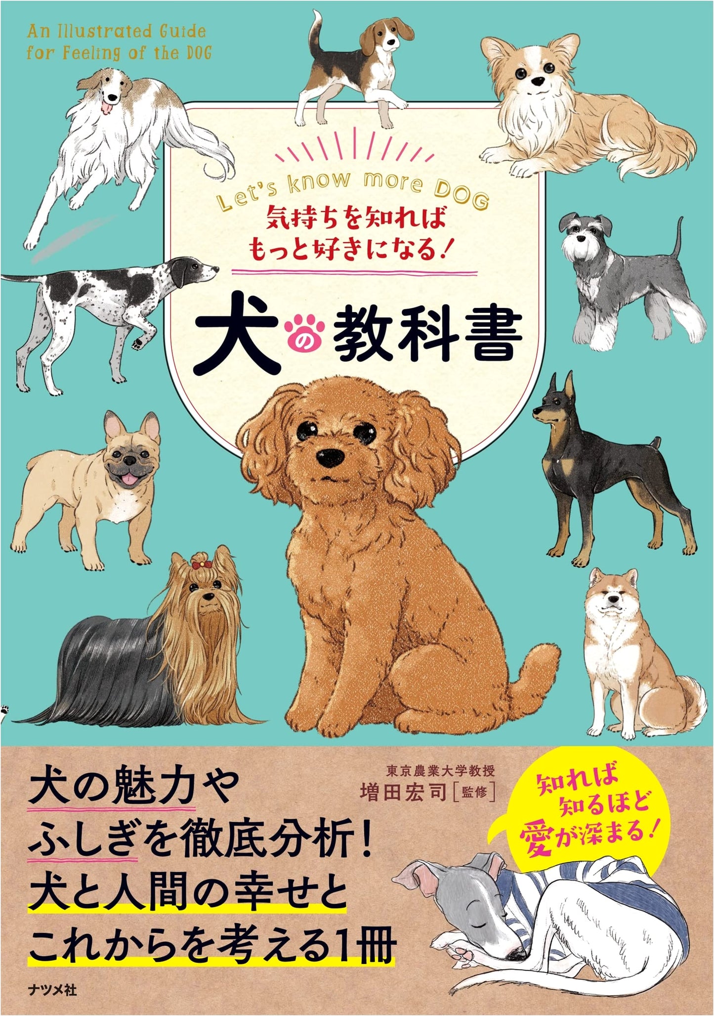 Understand Your Dog Better: A Textbook for Deeper Connection
