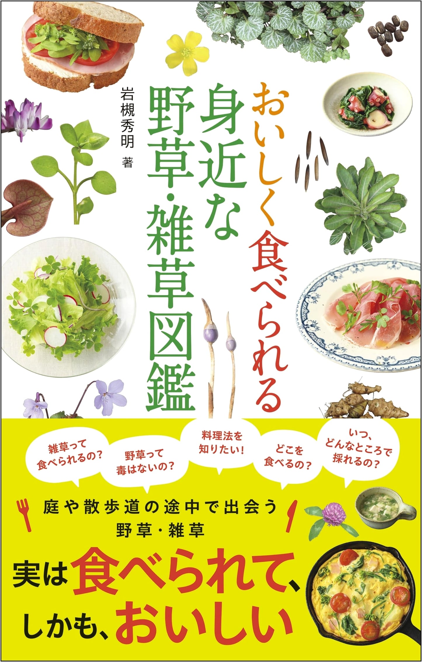 Edible Wild Plants and Weeds Around You by Hideaki Iwatsuki