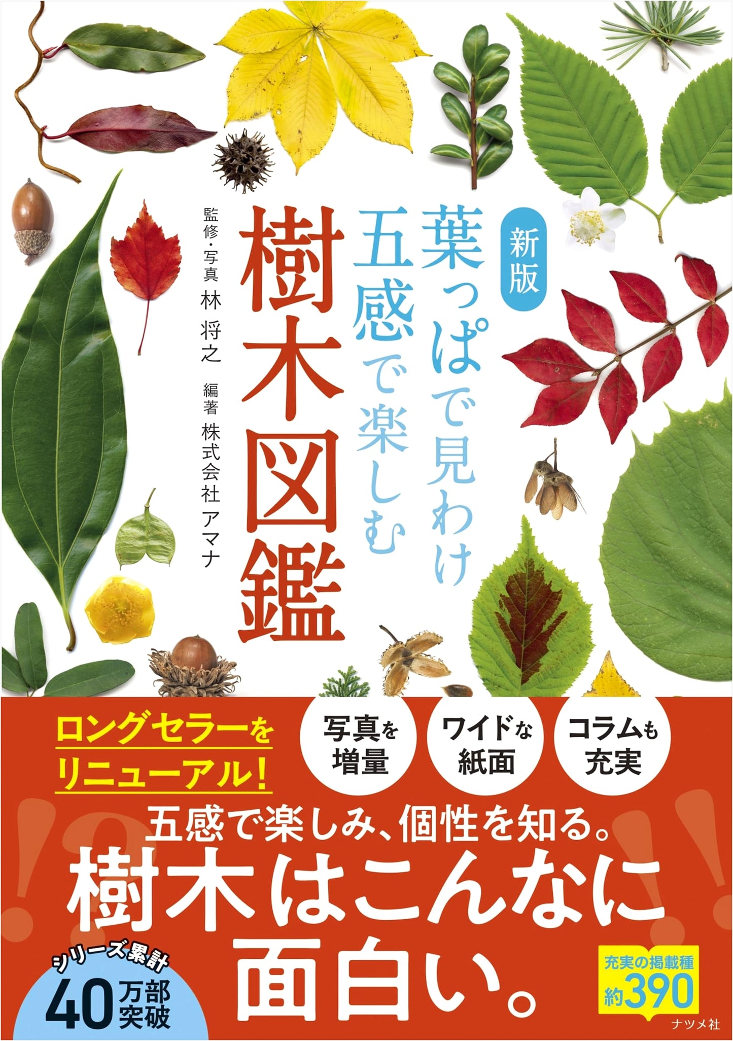 New Edition: Illustrated Guide to Trees - Identify by Leaves & Enjoy with Five Senses