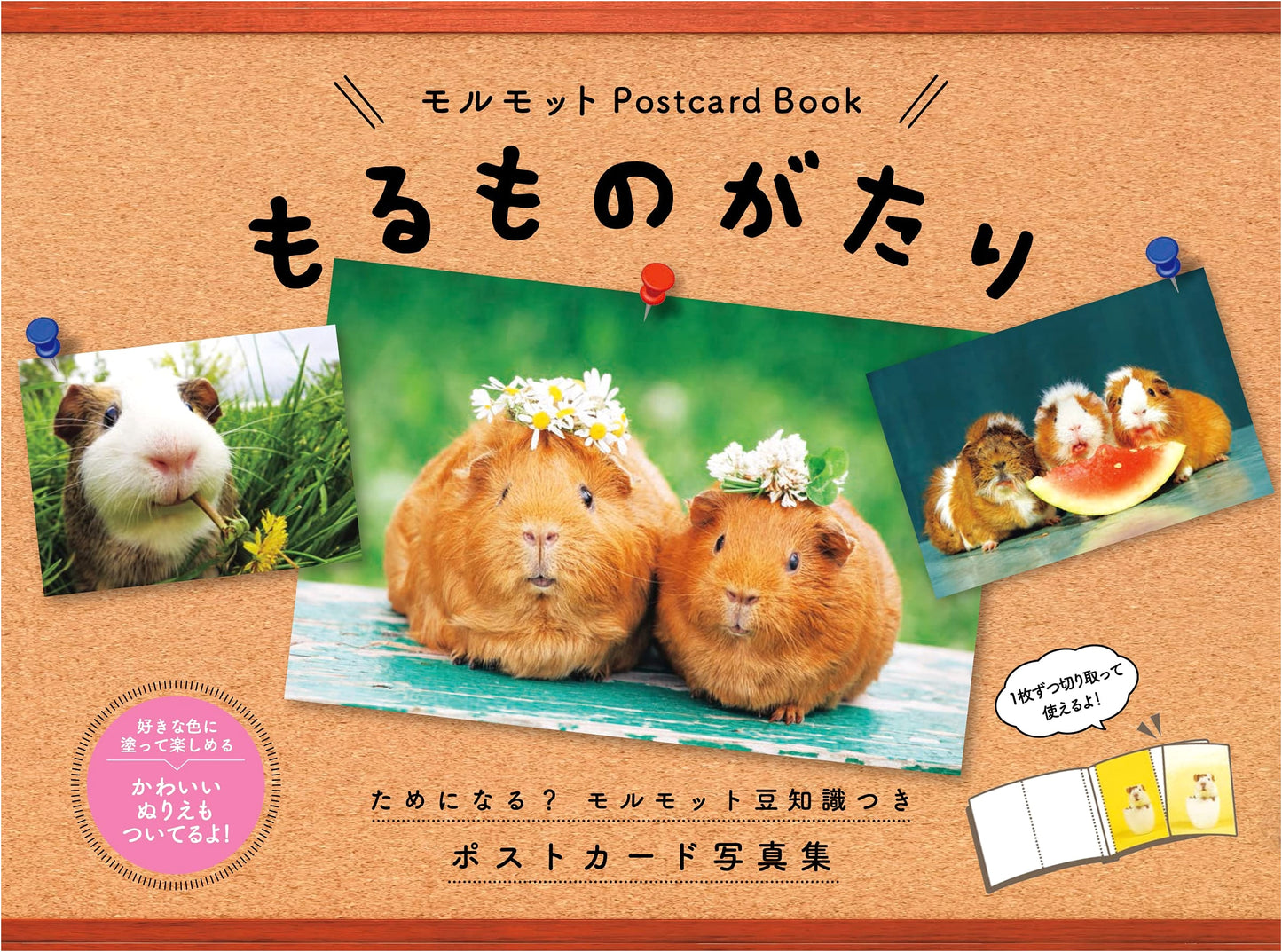 Morumono Story: Guinea Pig Postcard Book