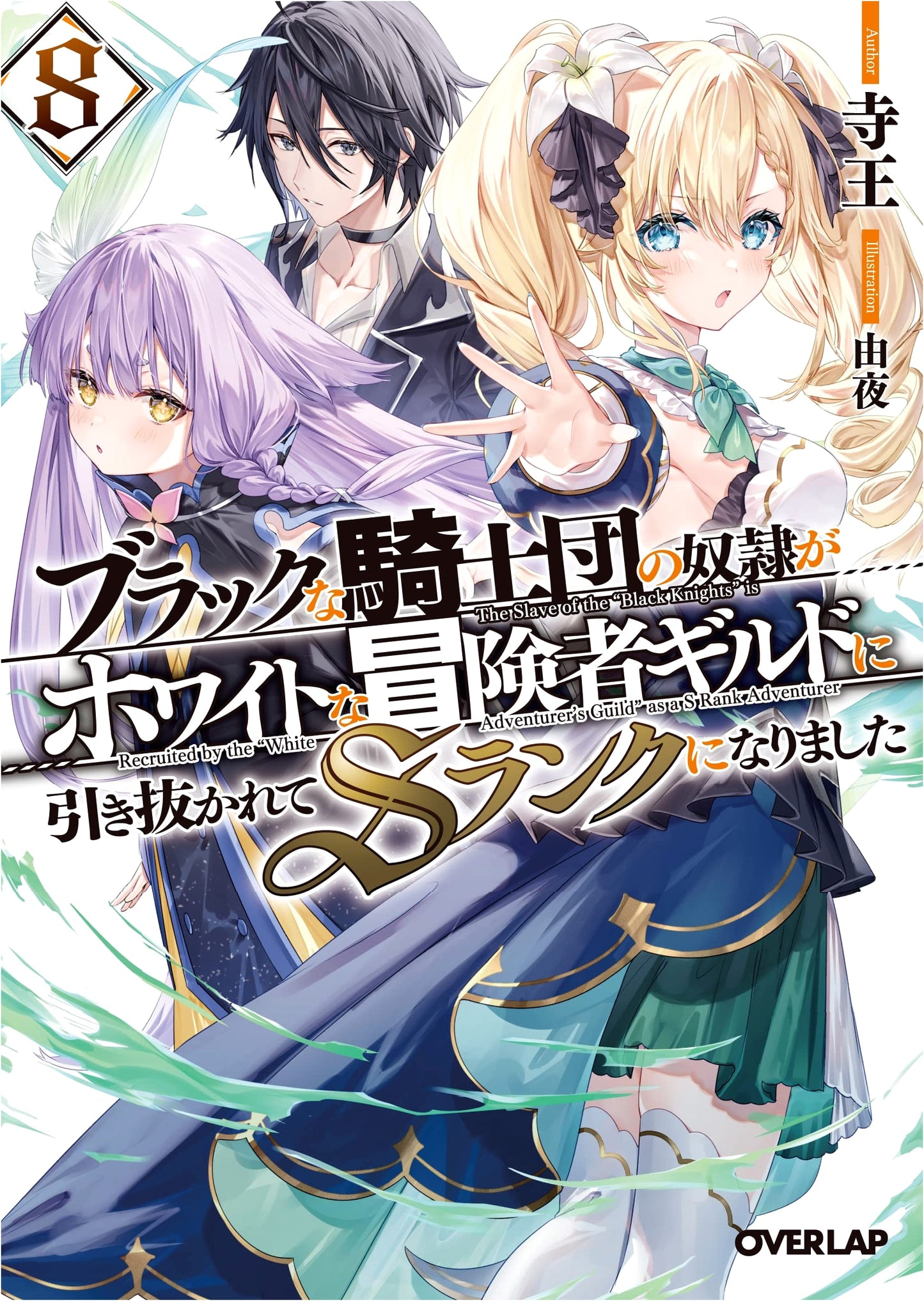 The Slave of a Black Knights' Order Was Pulled into a White Adventurer's Guild and Became an S-Rank, Vol. 8