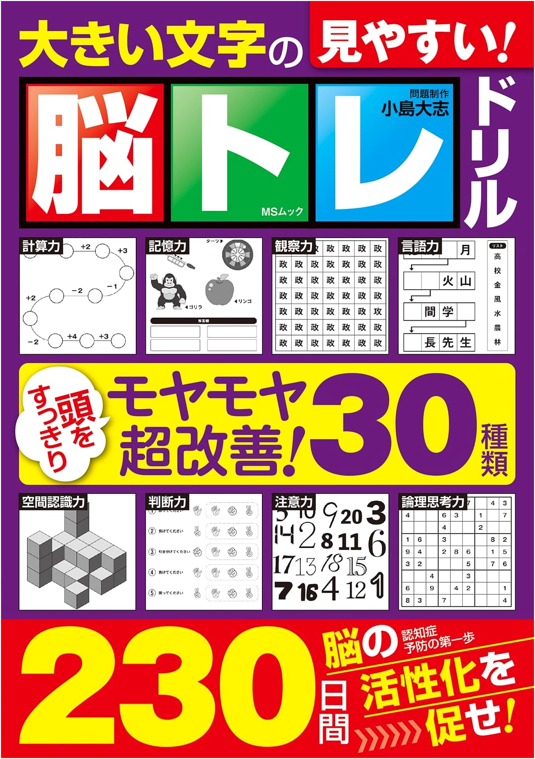 Large Print Brain Training Drills