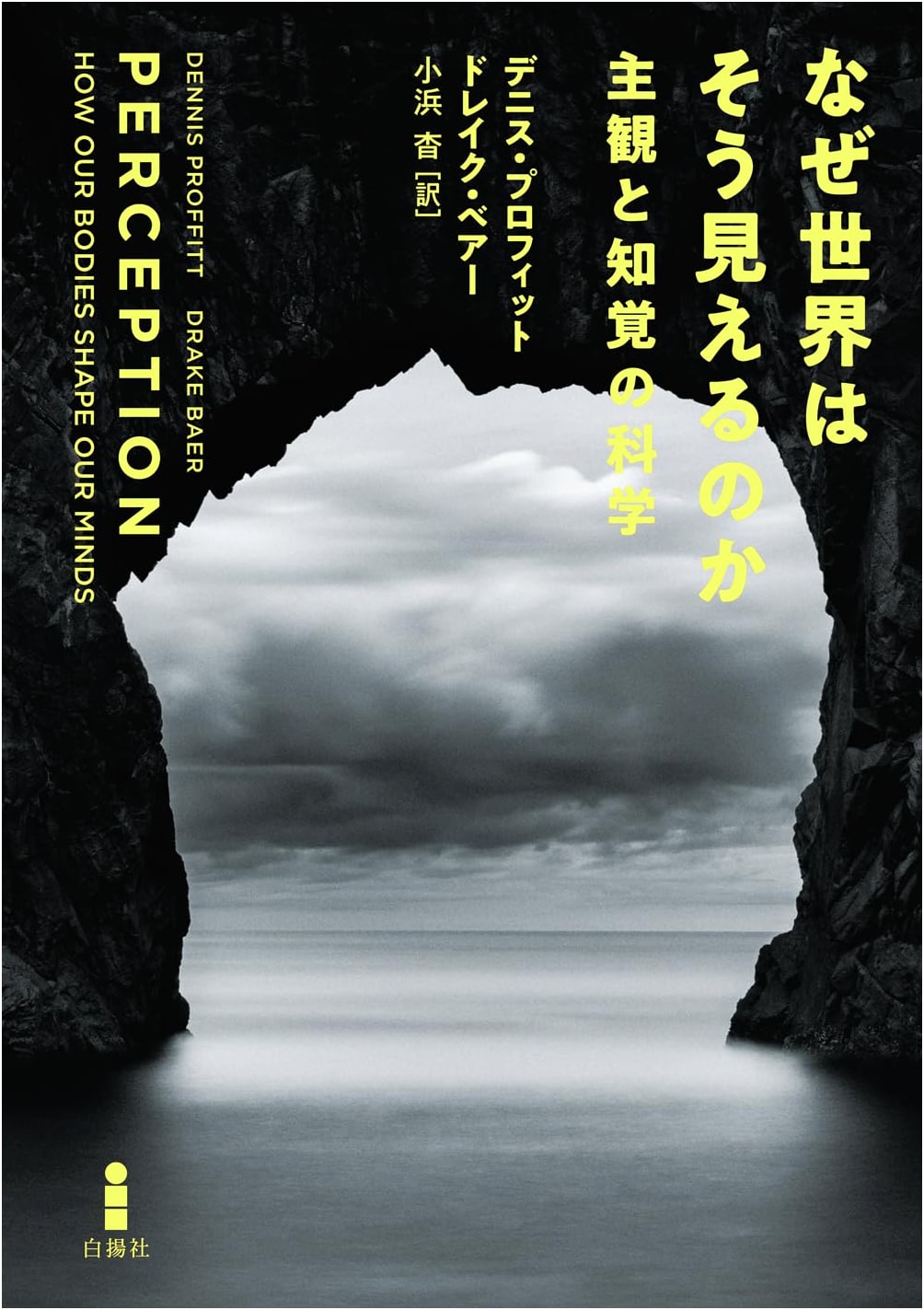 Why the World Looks the Way It Does: The Science of Subjectivity and Perception by Drake Baer