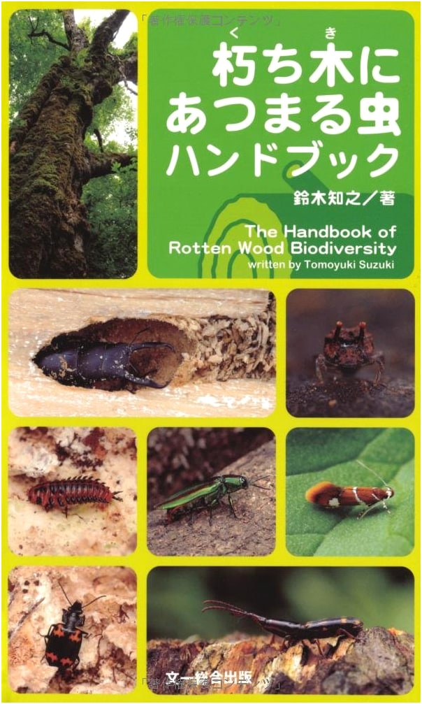 Handbook of Insects Gathering on Decaying Wood