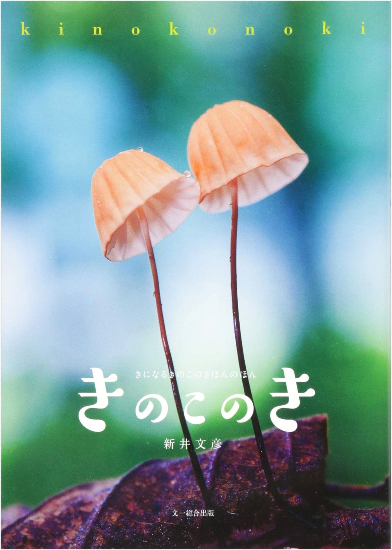 Mushroom Tree: The Basic Book of Fascinating Fungi