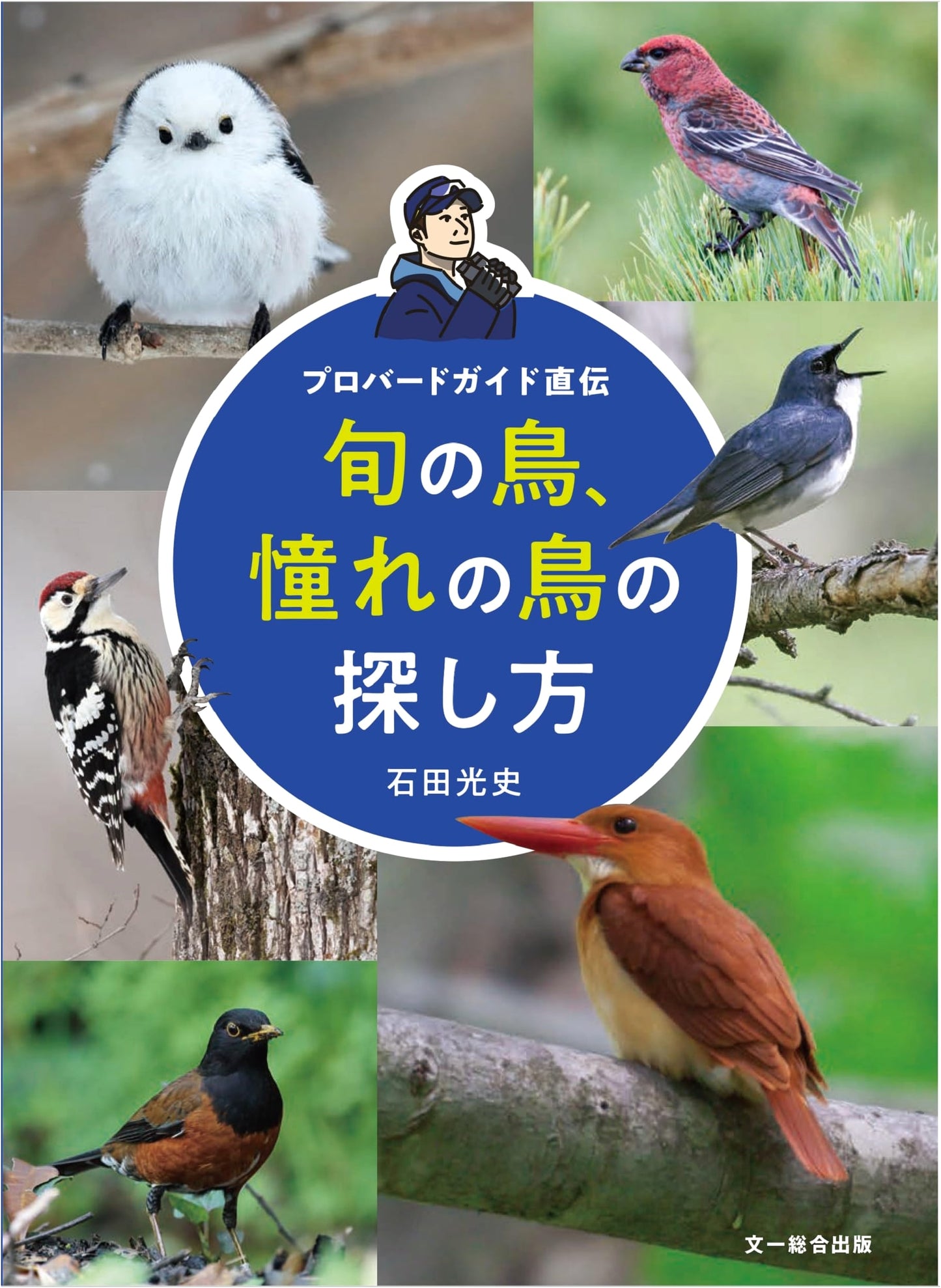 How to Find Seasonal and Dream Birds: Professional Bird Guide's Secrets