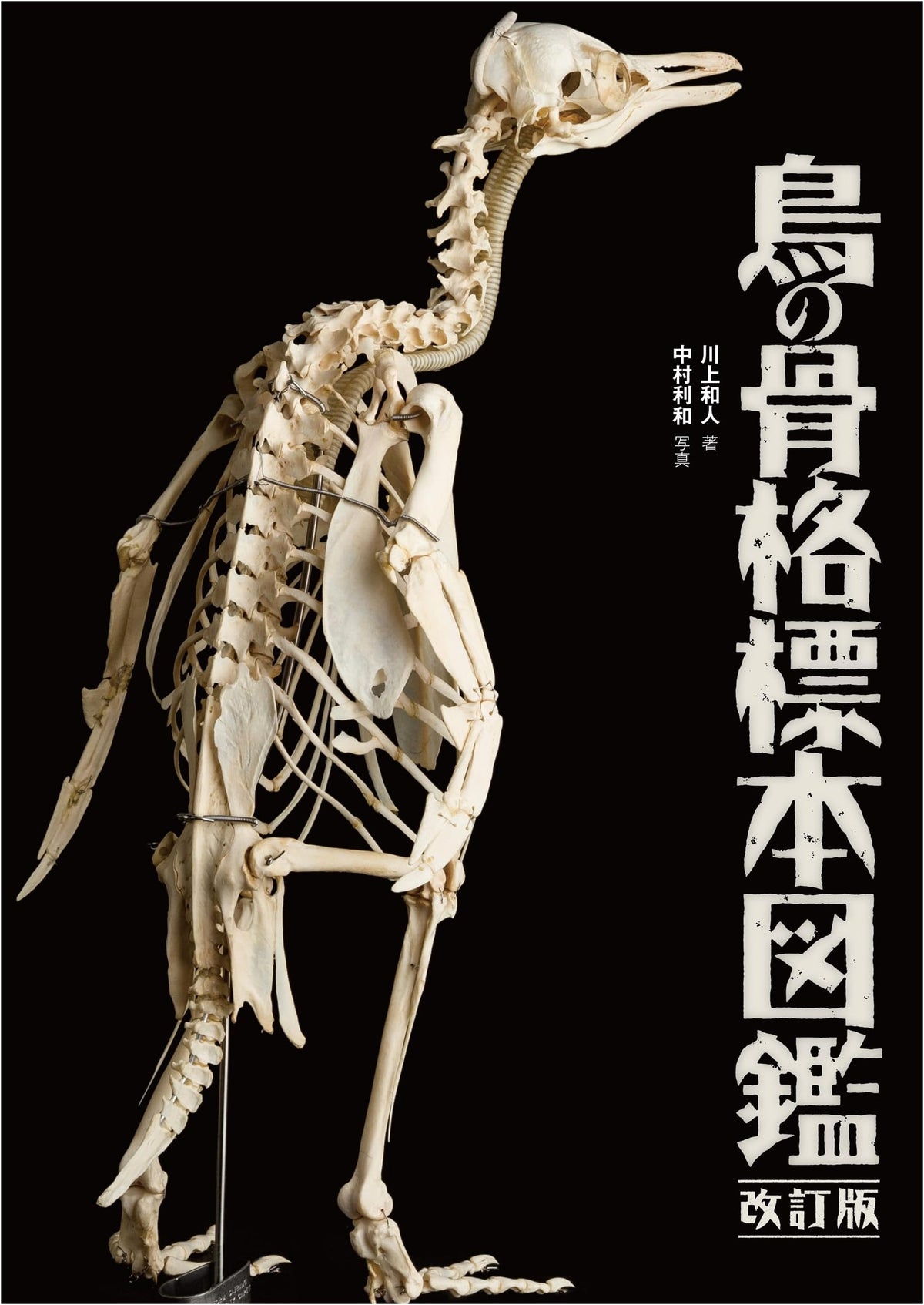 Illustrated Guide to Bird Skeletons, Revised Edition (BIRDER SPECIAL)