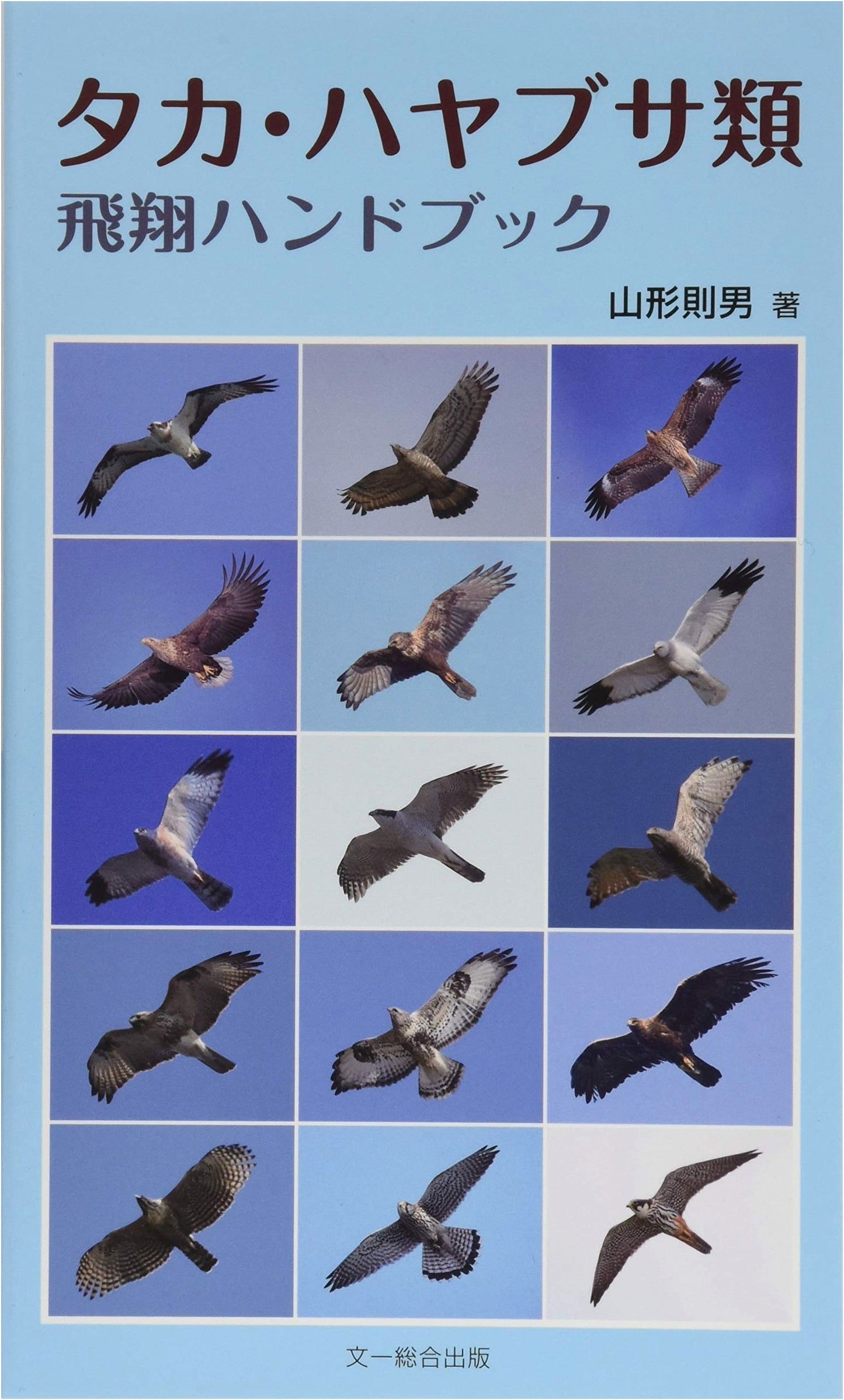 Flight Handbook for Falcons and Hawks