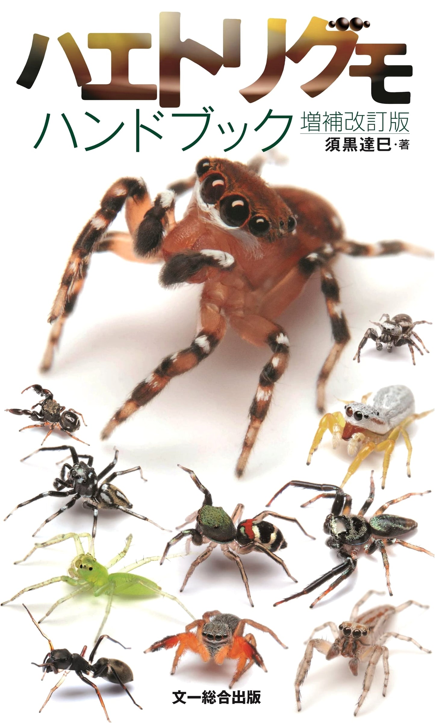 Jumping Spider Handbook: Revised and Expanded Edition