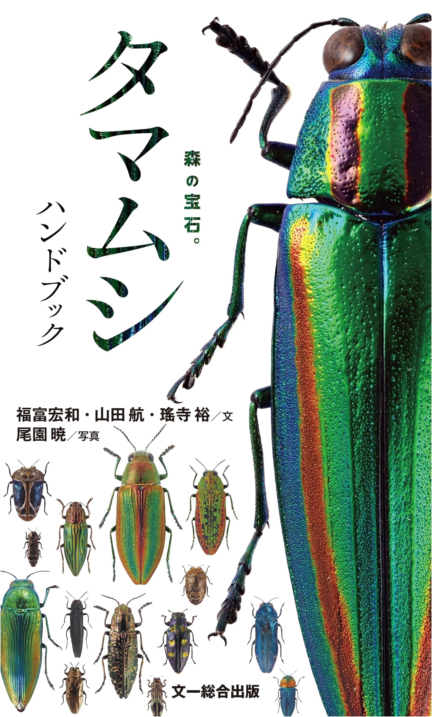 Jewel Beetle Handbook