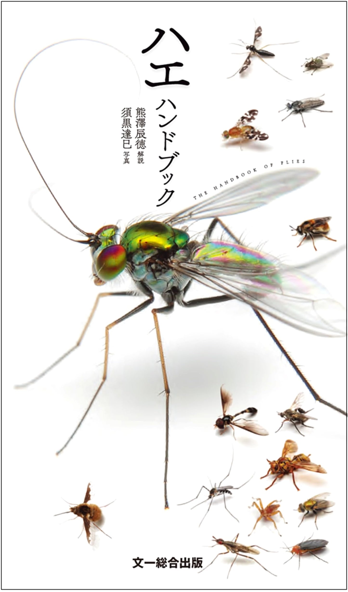 The Fly Handbook: A Comprehensive Guide