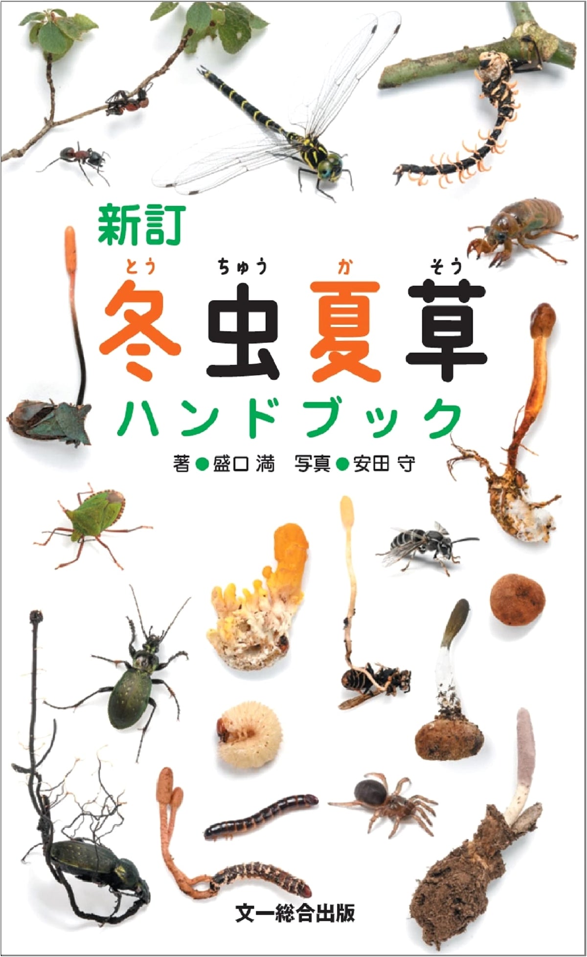 Revised Handbook of Cordyceps and Entomopathogenic Fungi