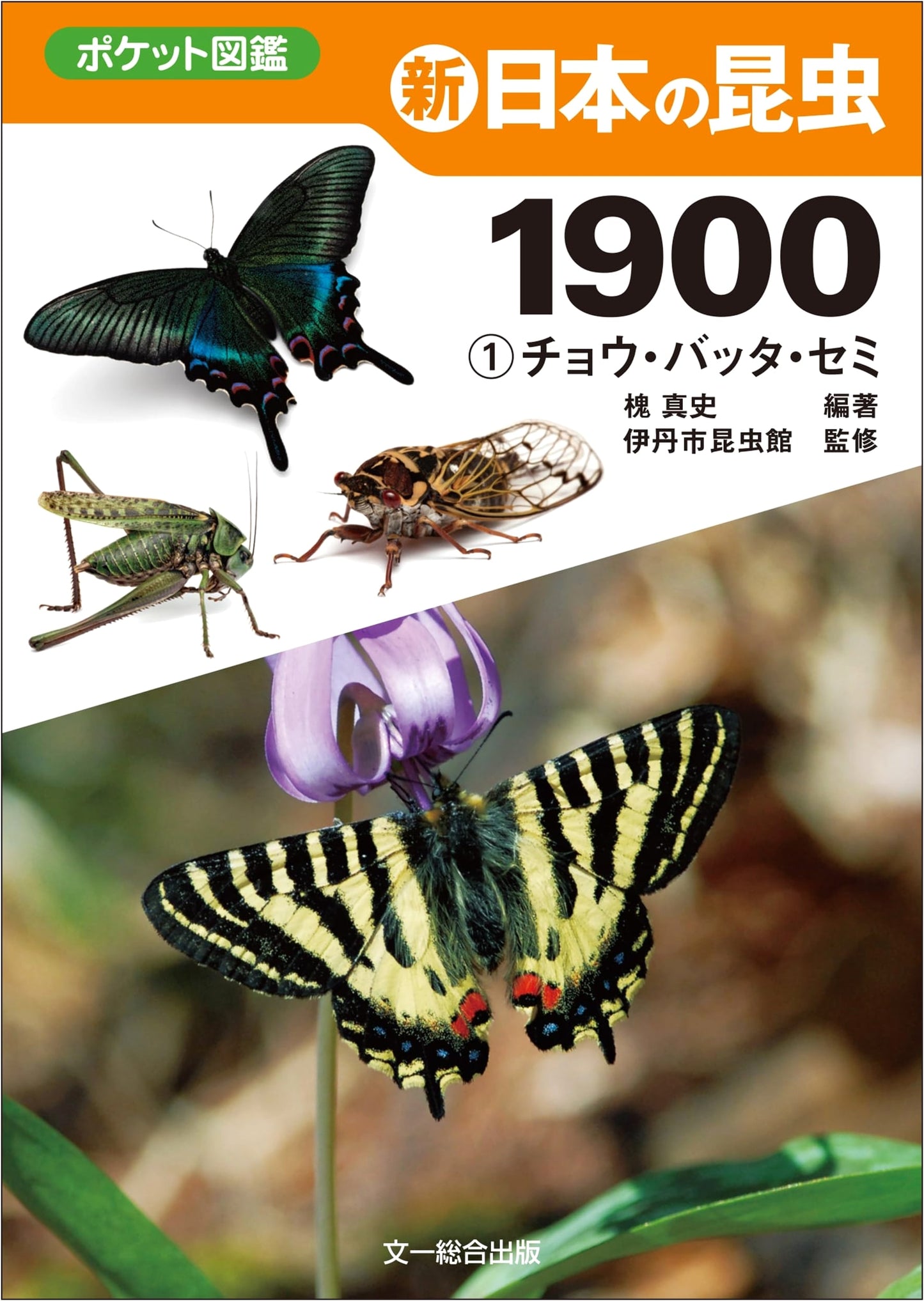 New Japanese Insects 1900 (Vol. 1): Butterflies, Grasshoppers, Cicadas (Pocket Guide)