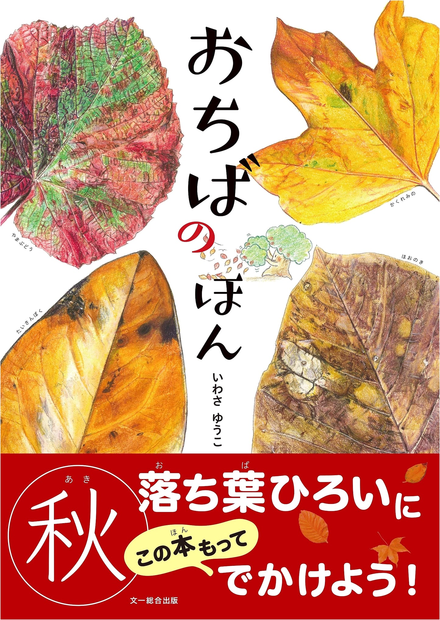 The Book of Fallen Leaves