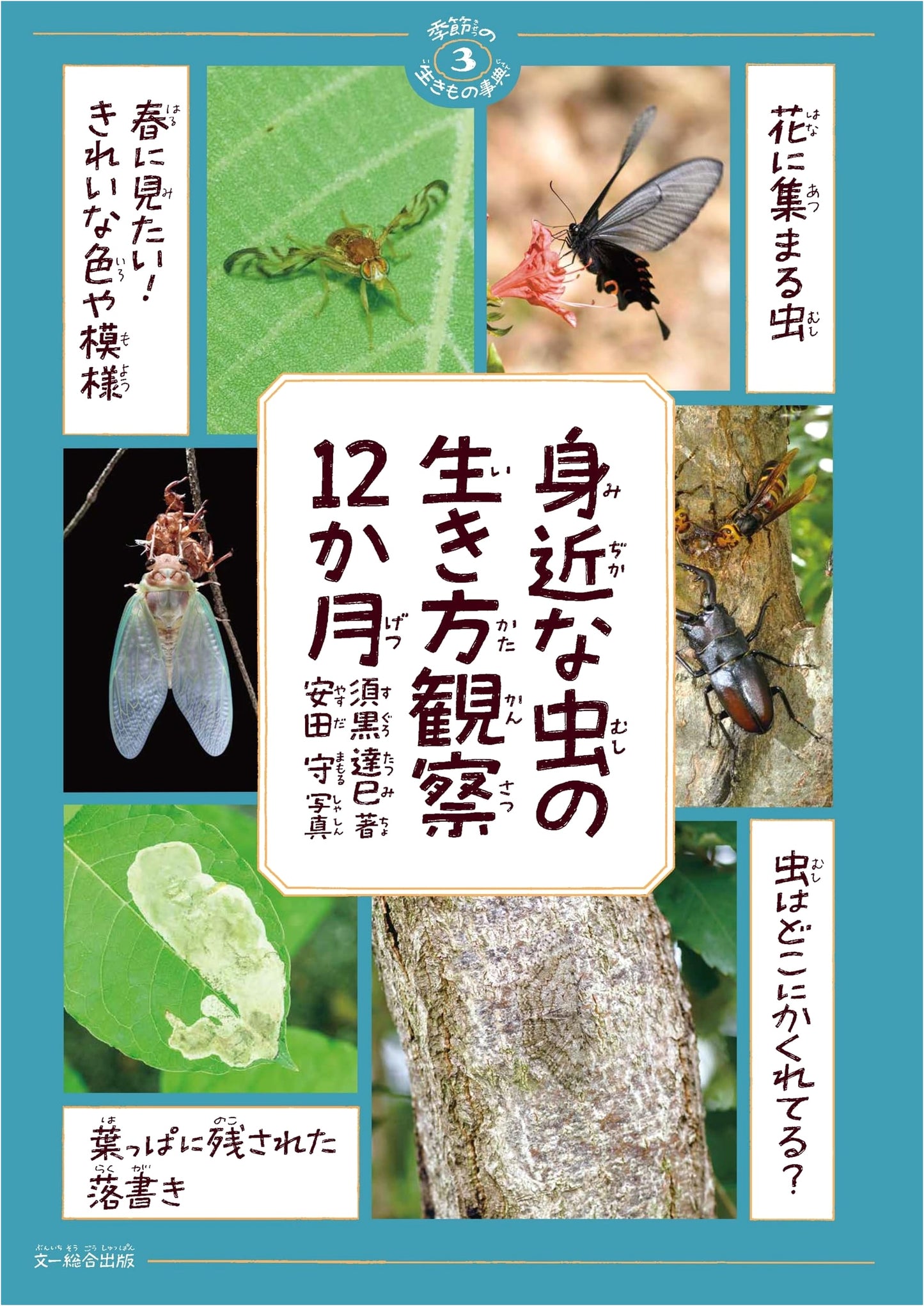Observing the Lives of Common Insects: A 12-Month Guide (Seasonal Creatures Encyclopedia Vol. 3)