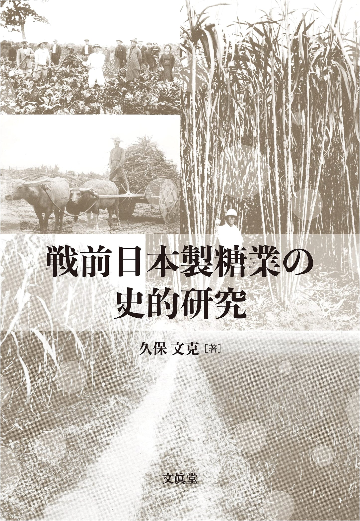 A Historical Study of Japan's Pre-War Sugar Industry