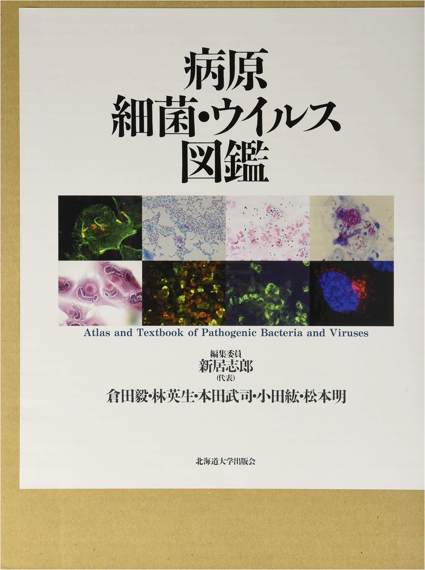 Illustrated Guide to Pathogenic Bacteria and Viruses