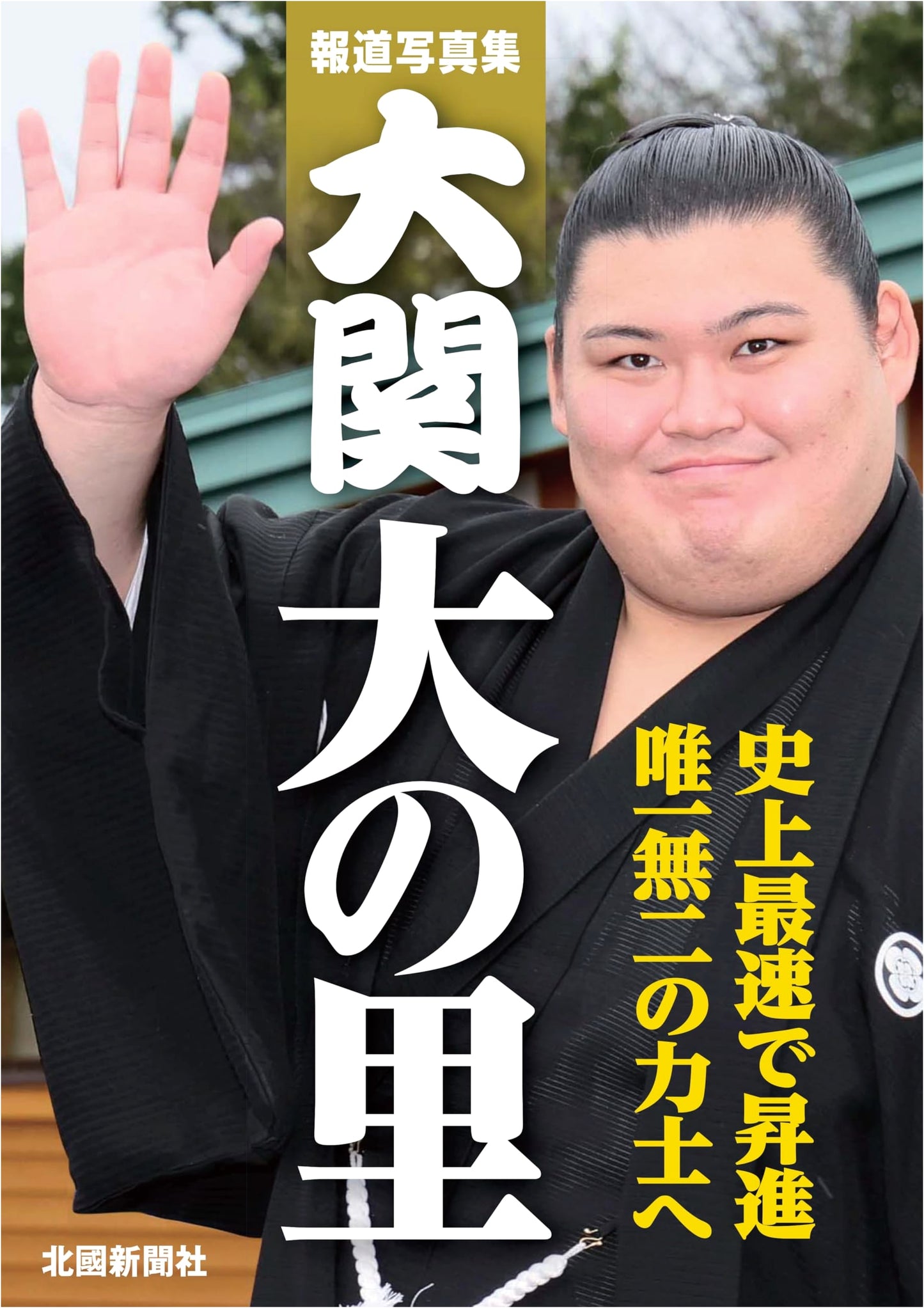 Photo Collection: Ozeki Onosato - The Rise of a Sumo Star