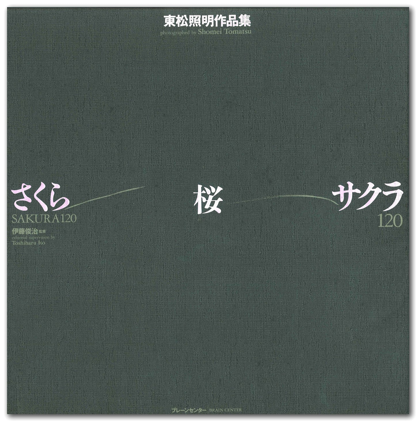 Sakura: Cherry Blossoms by Shomei Tomatsu