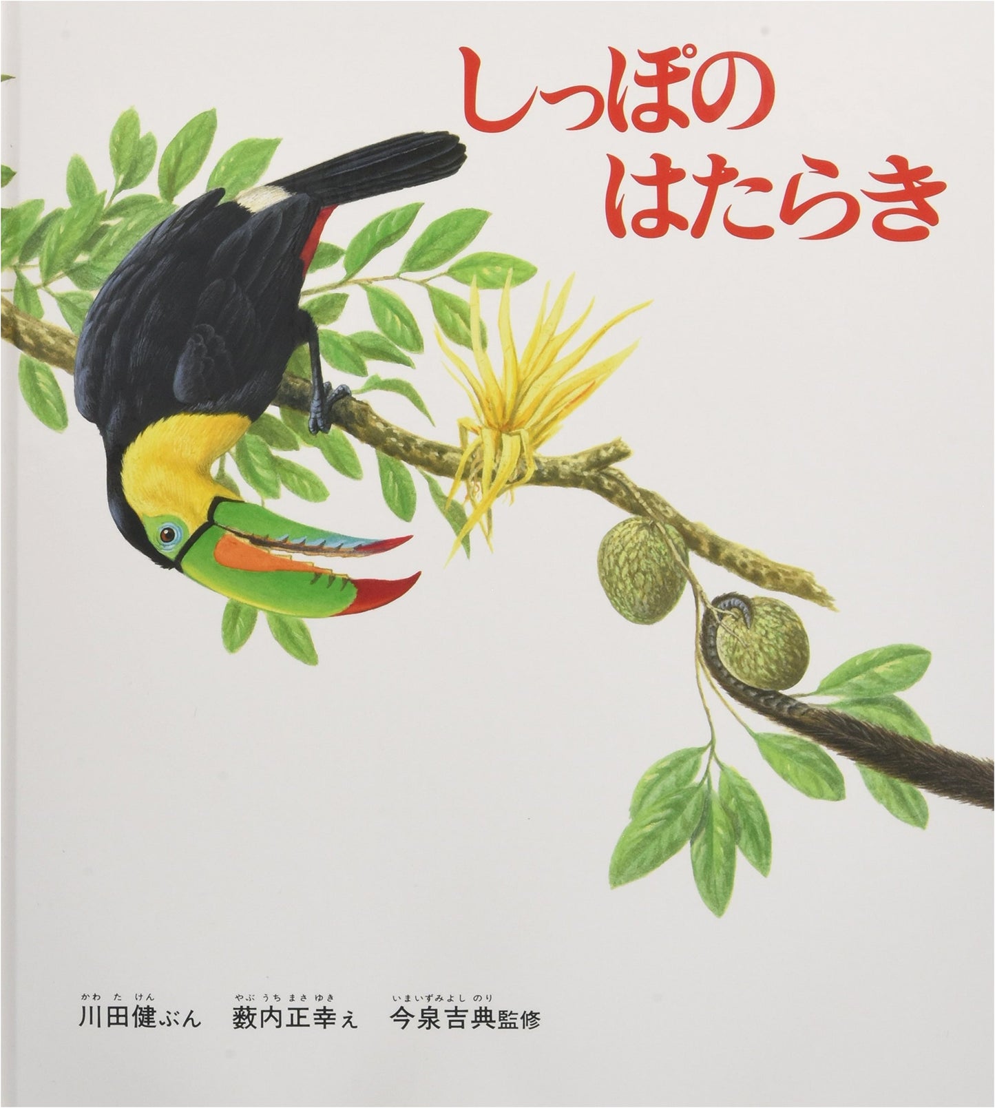 How Tails Work: A Kagaku no Tomo Science Picture Book