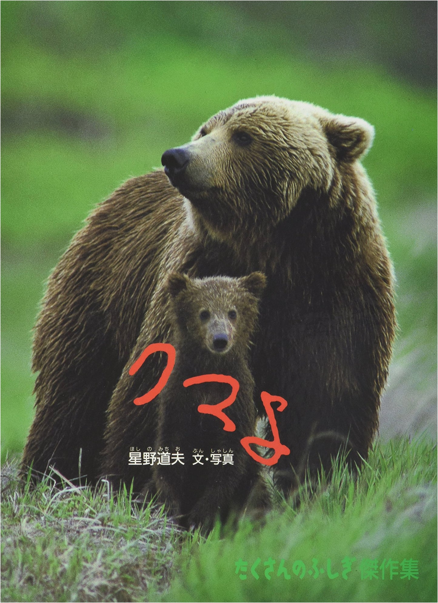 Kuma yo: Bear, by Michio Hoshino