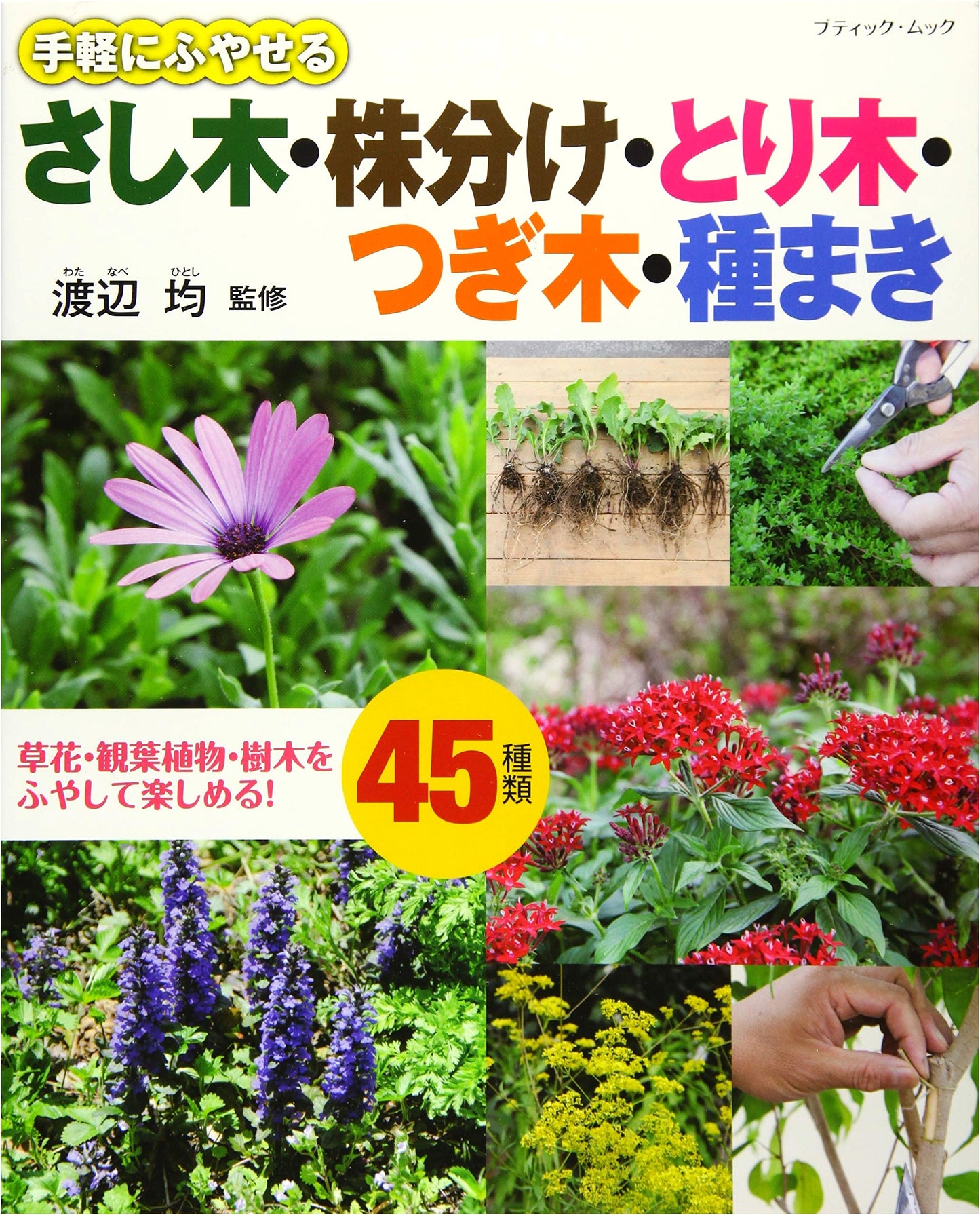 Easy Propagation: Cuttings, Division, Air Layering, and Sowing