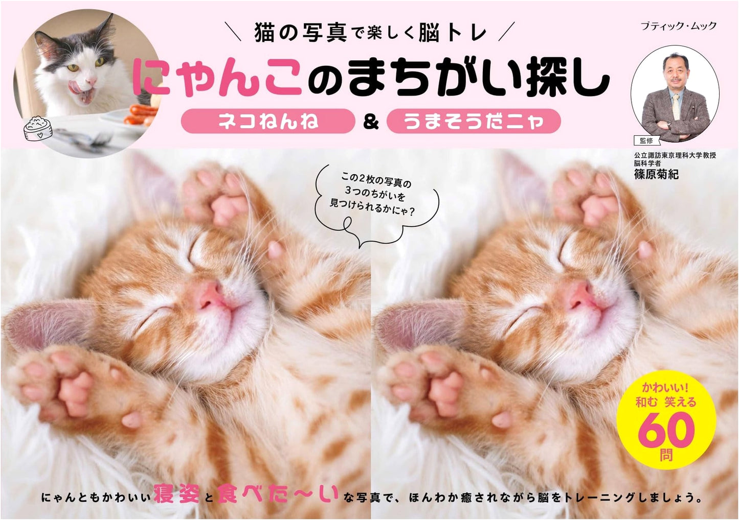 Kitty's Spot the Difference: Napping Cats & Delicious Treats