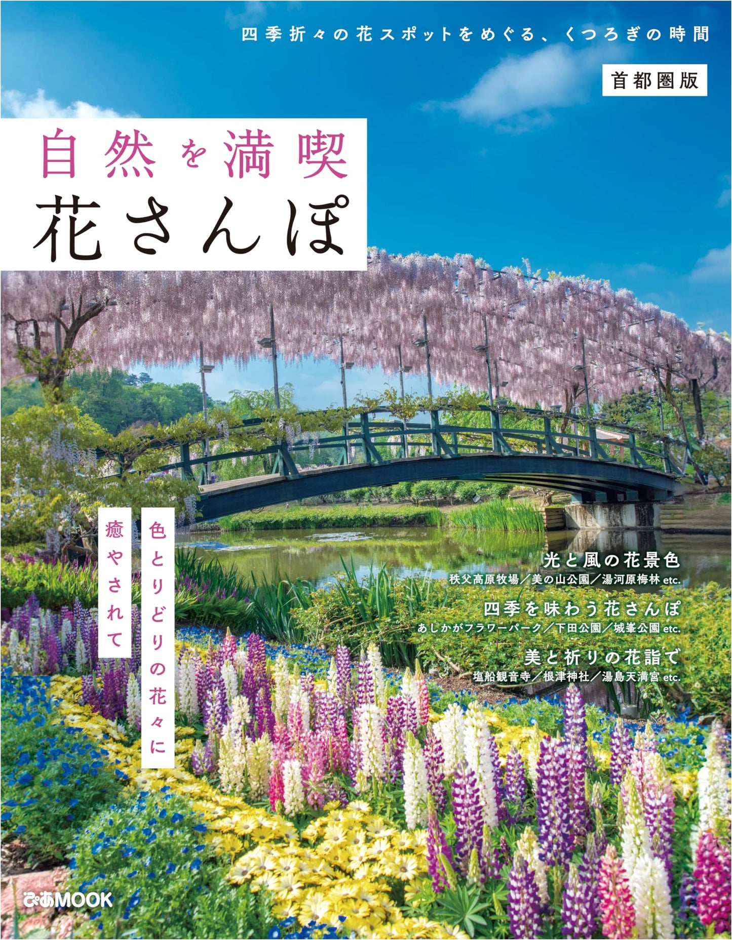 Enjoying Nature: Flower Walks in the Tokyo Metropolitan Area