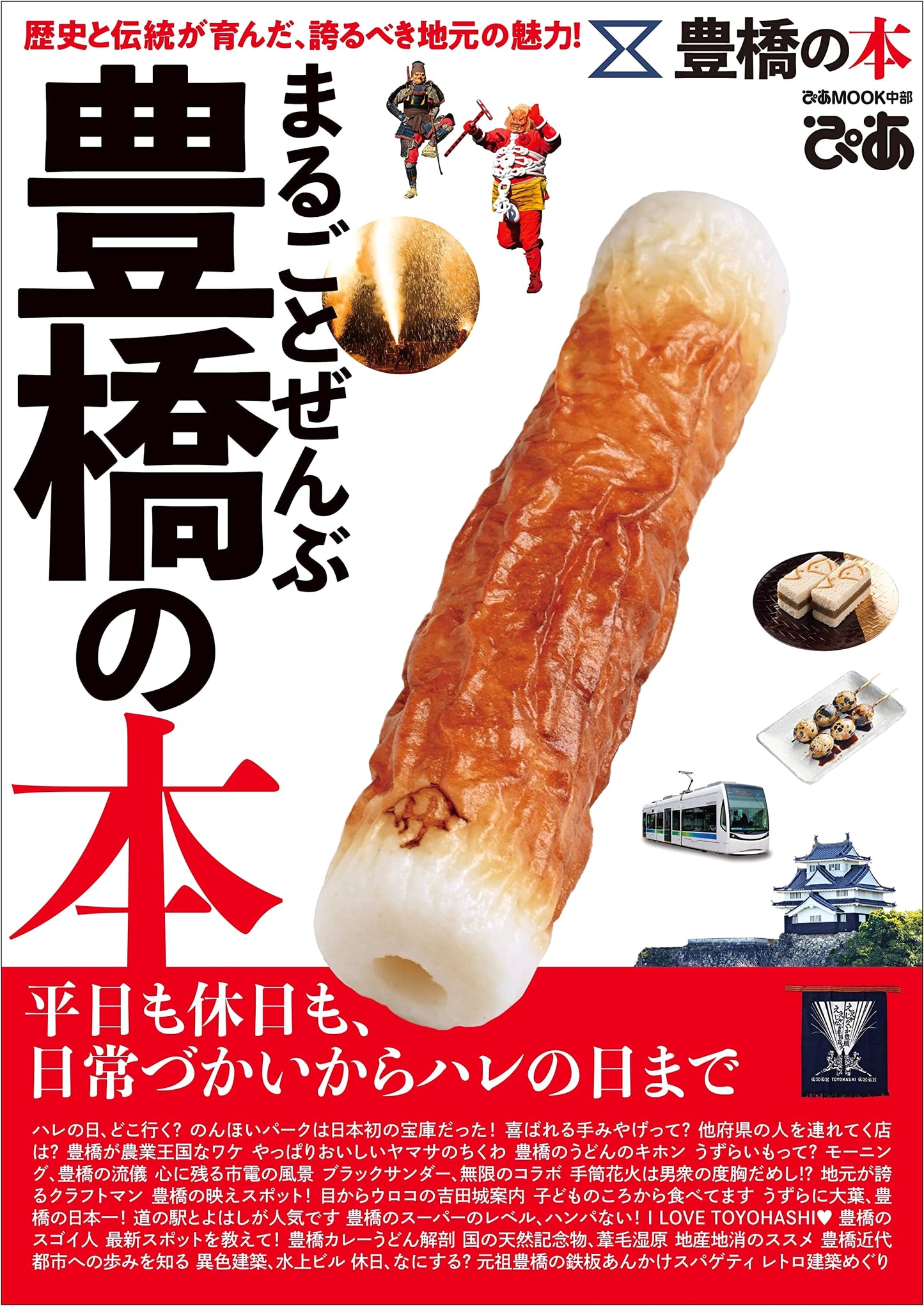 The Complete Guide to Toyohashi: A Pia MOOK Featuring Japan's Chubu Region