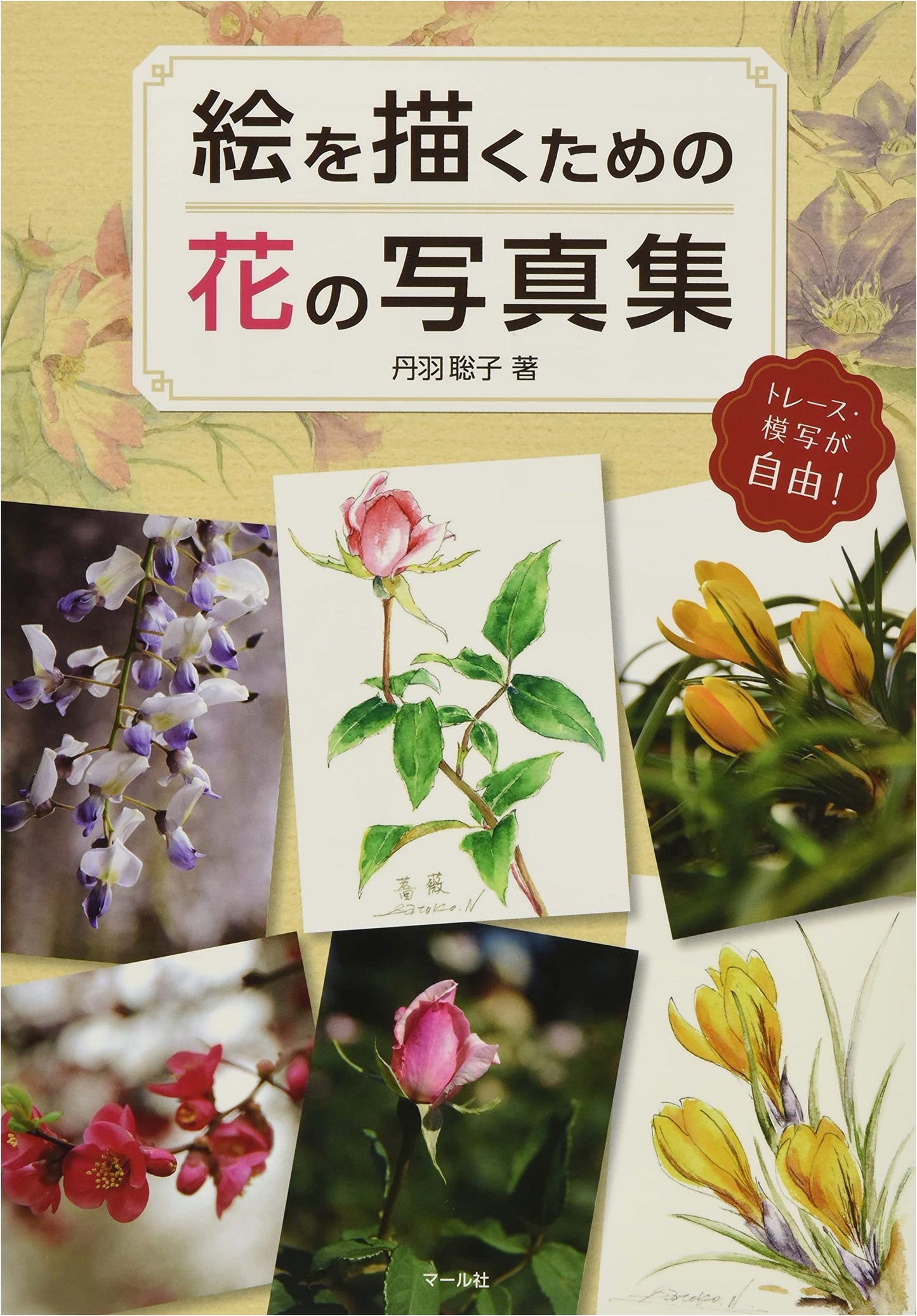 Flower Photo Collection for Drawing