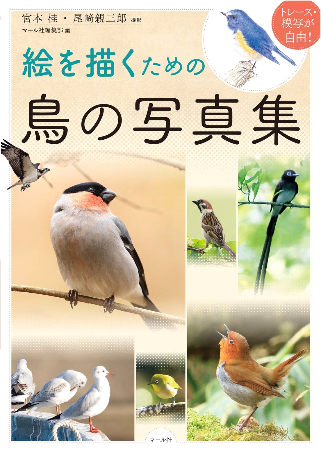 Bird Photography for Artists: An Essential Reference for Drawing & Painting