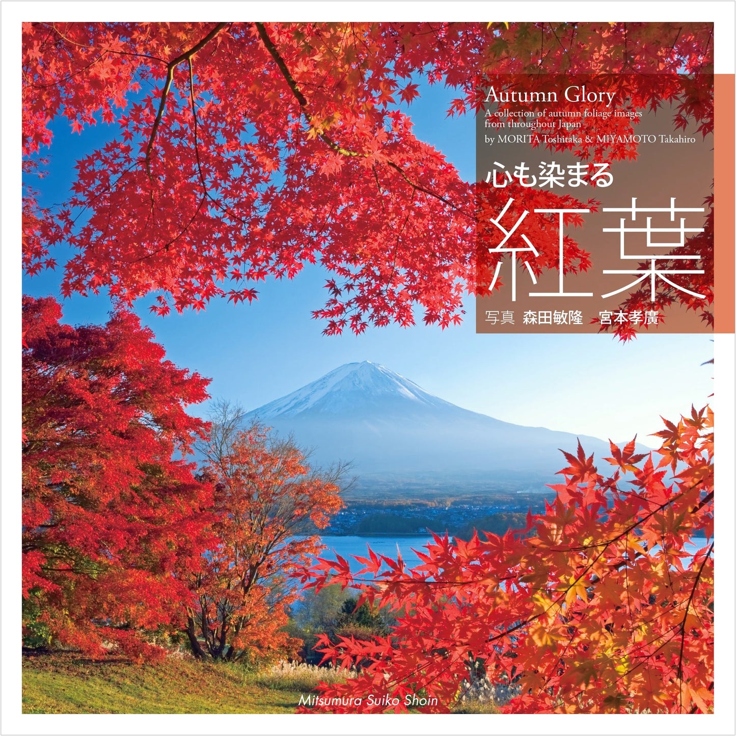 Heart's Hue: Autumn Leaves Ablaze