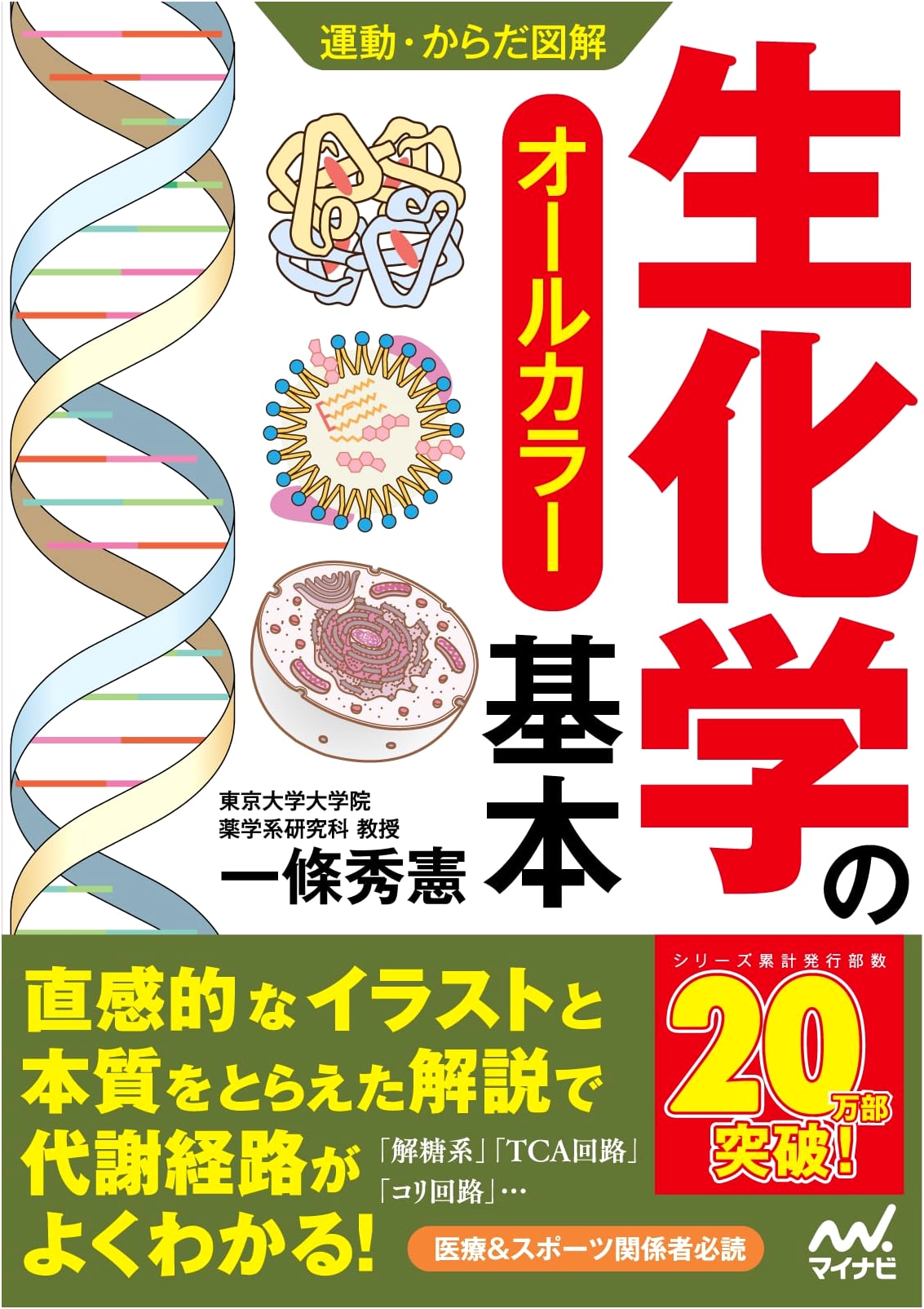 Biochemistry Fundamentals: An Illustrated Guide to Exercise and the Body