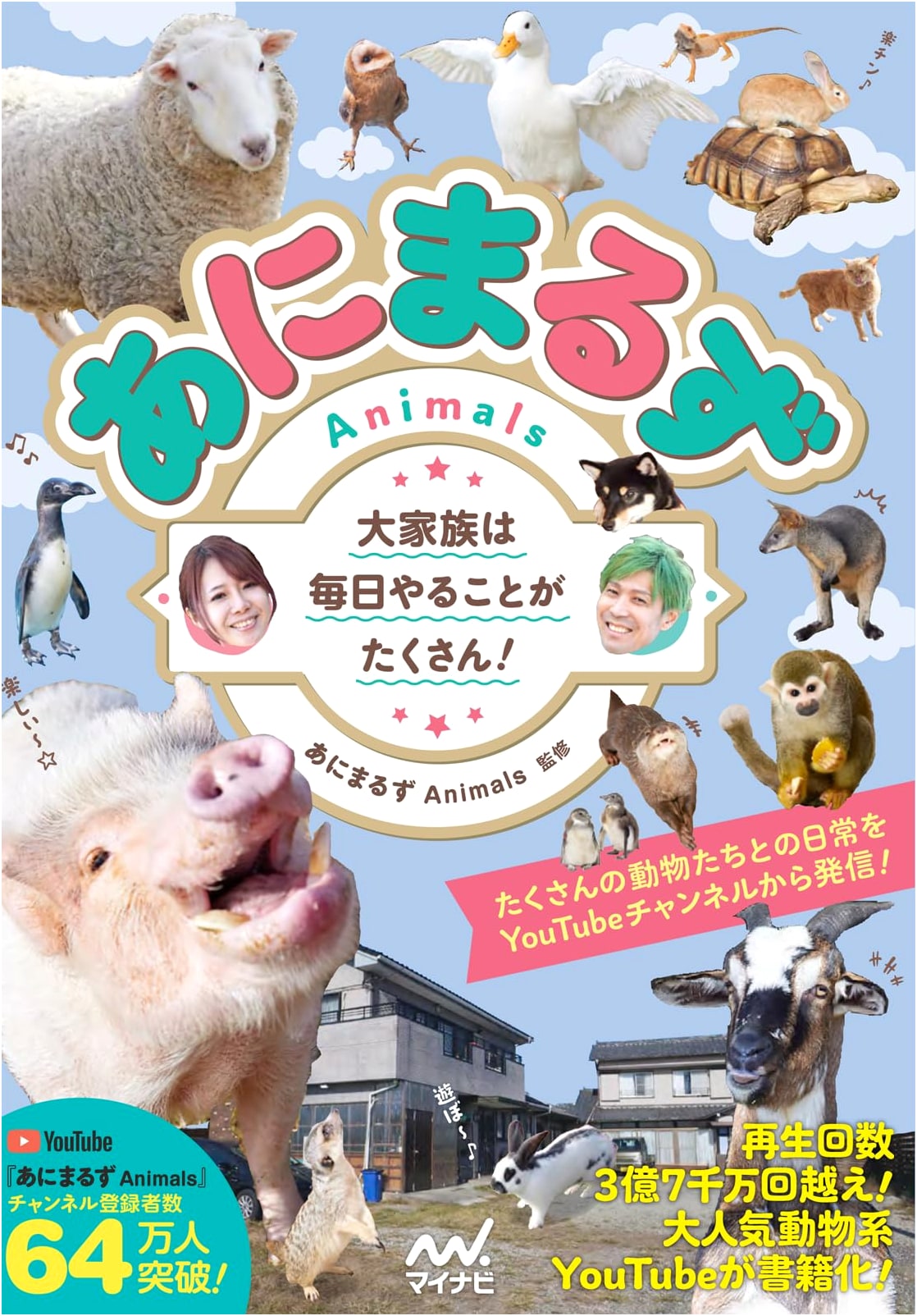 Animals: A Big Family Has Lots to Do Every Day!