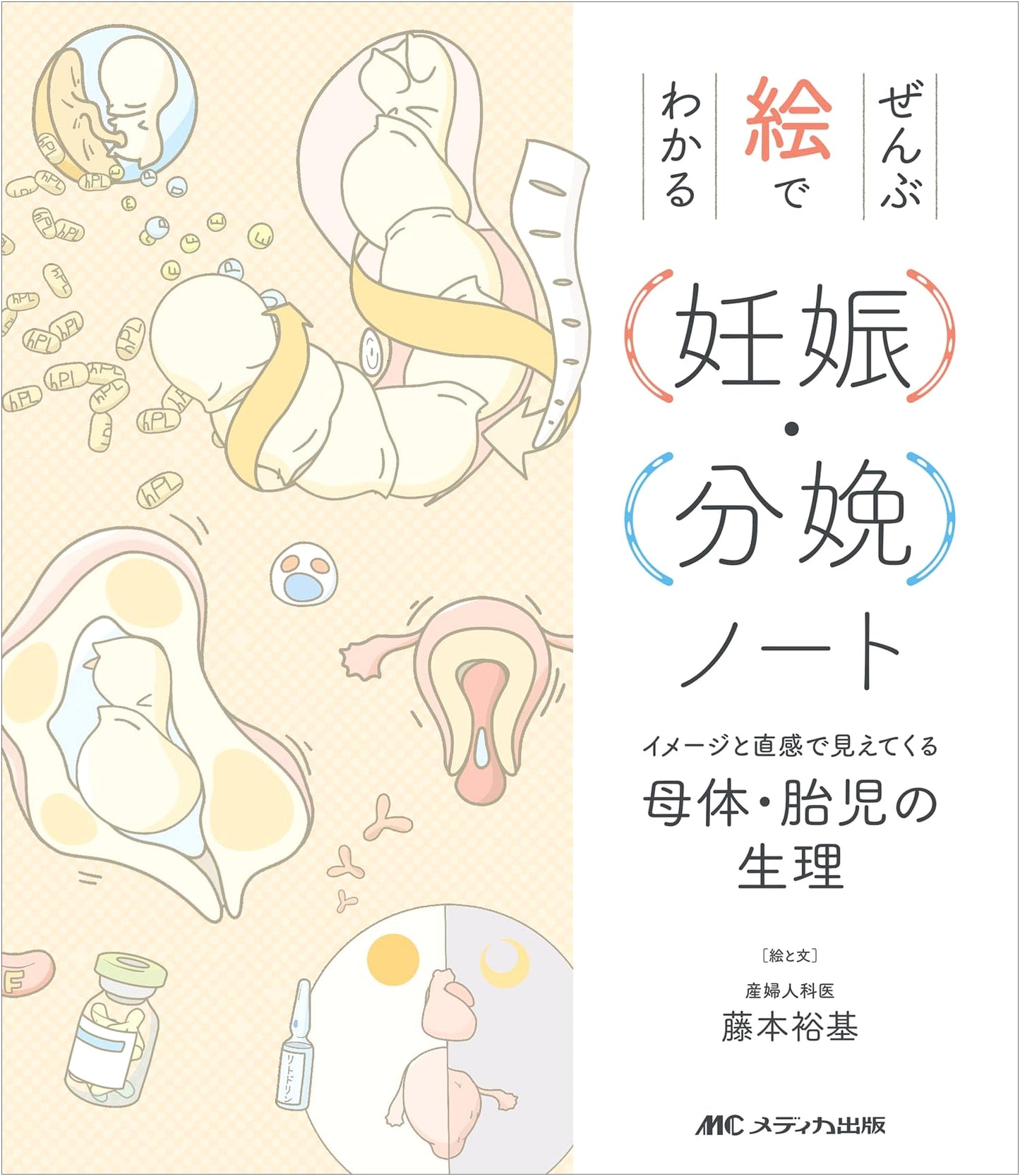 Pregnancy & Delivery Visual Guide: Understanding Mother & Fetus with Illustrations by Hiroki Fujimoto